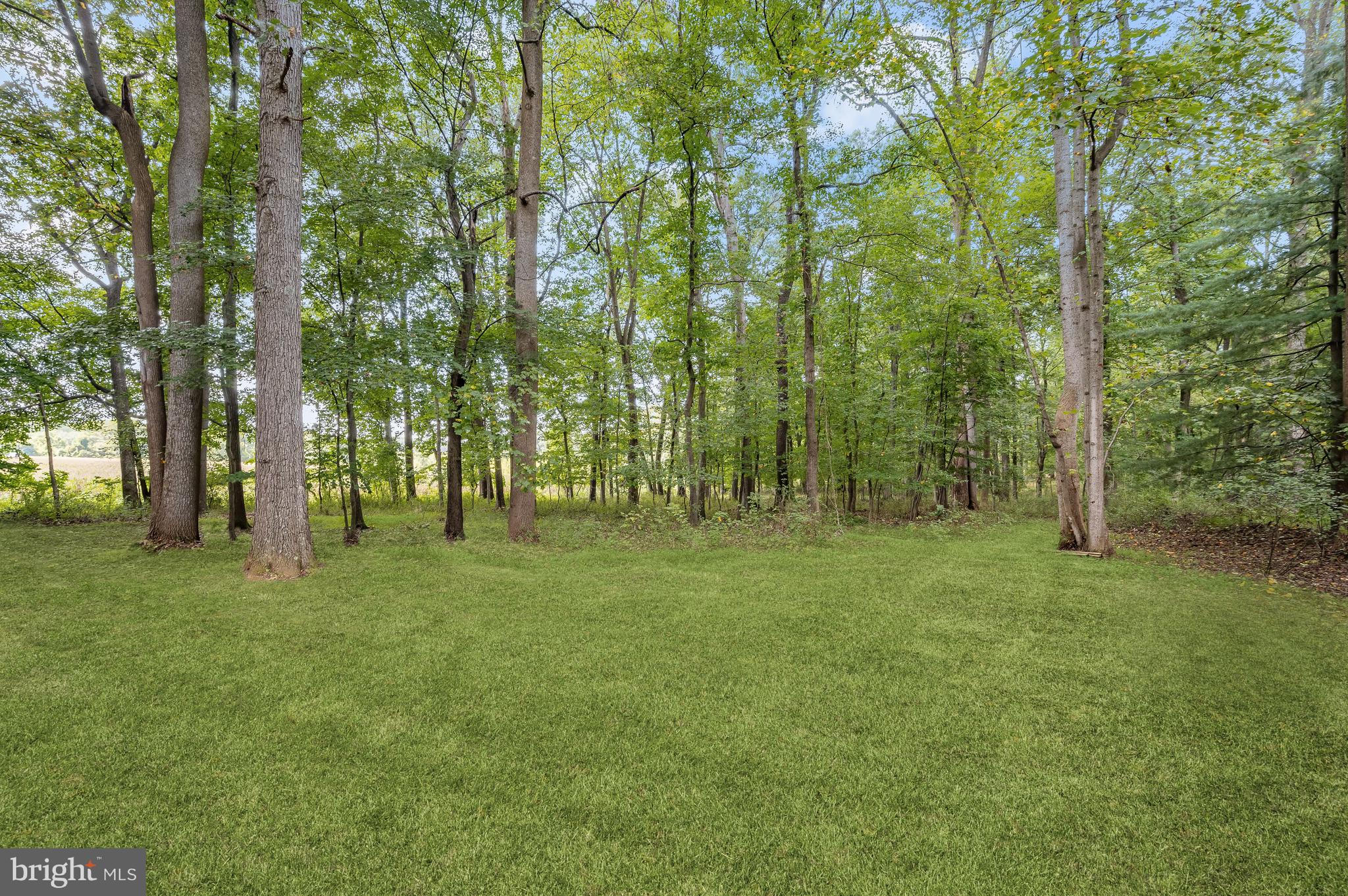 TWELVE HILLS - Residential