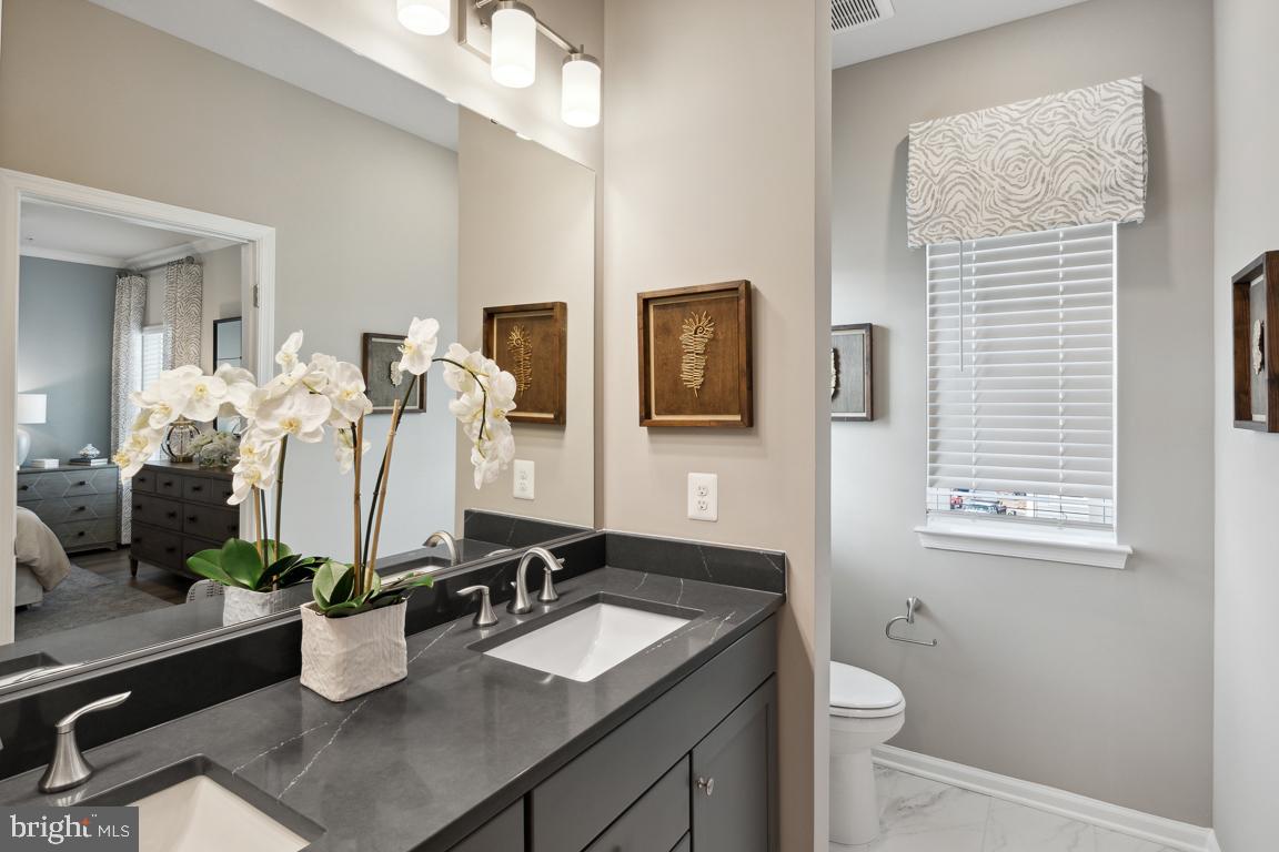 RESERVE AT DAMASCUS - Residential