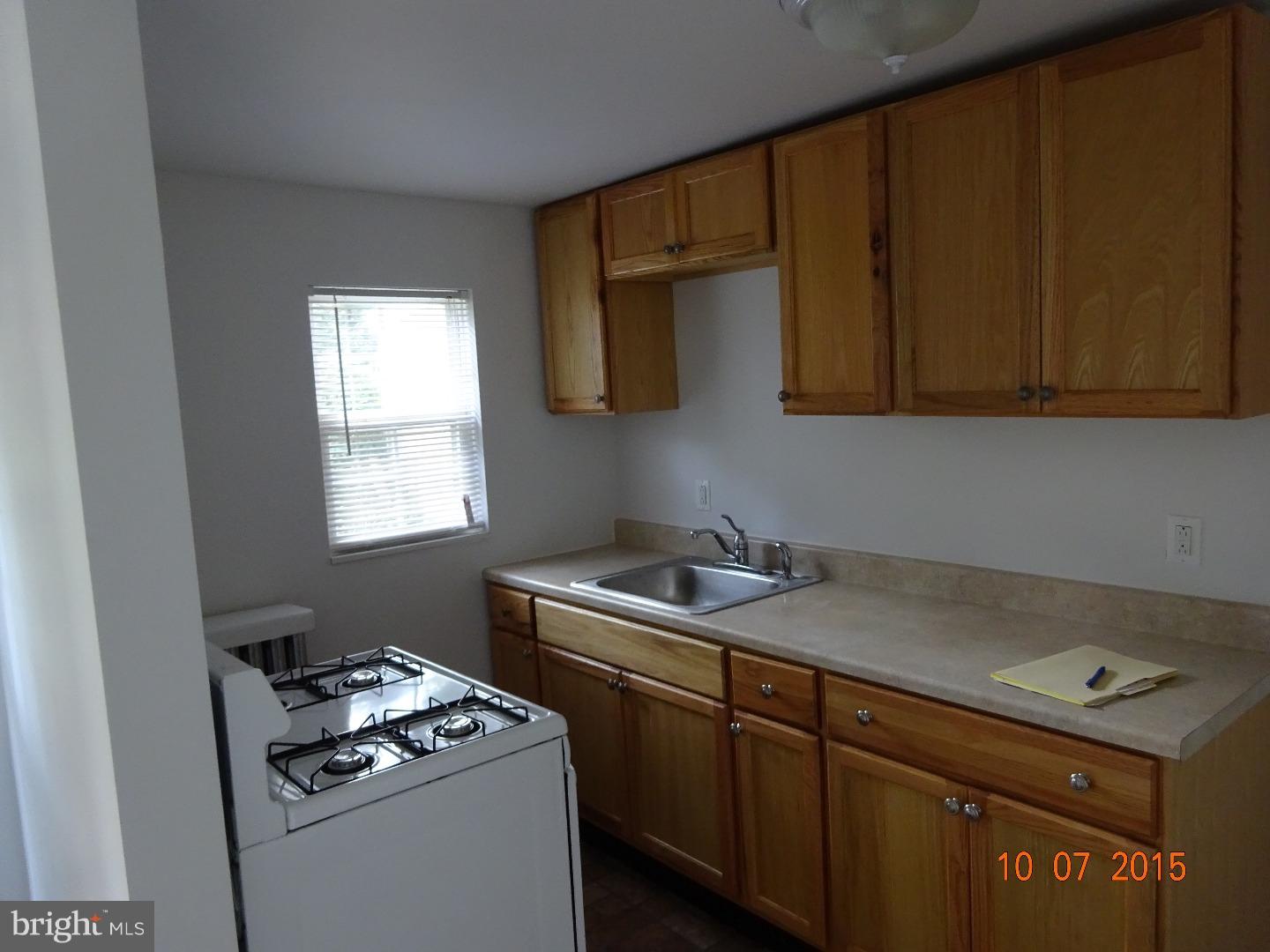 MANAYUNK - Residential Income