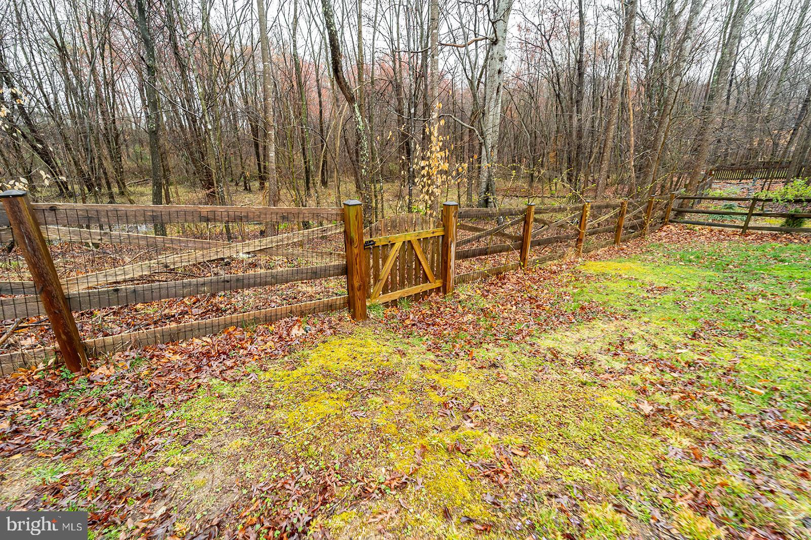 CARDINAL FOREST - Residential