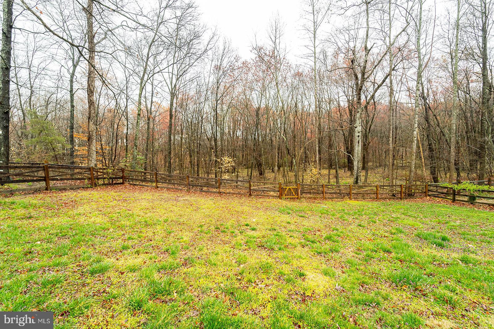 CARDINAL FOREST - Residential