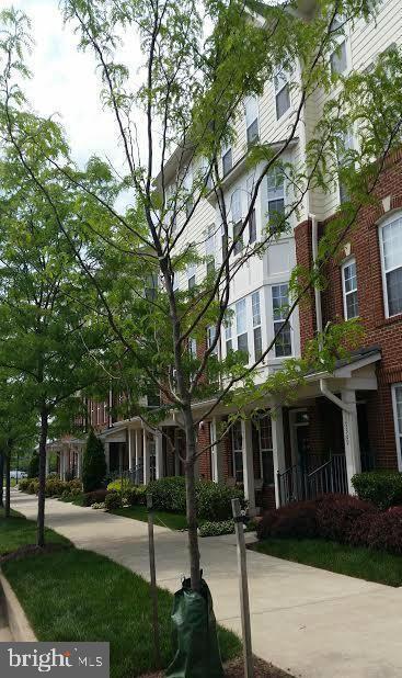 LINDEN ROW CONDOMINIUM - Residential