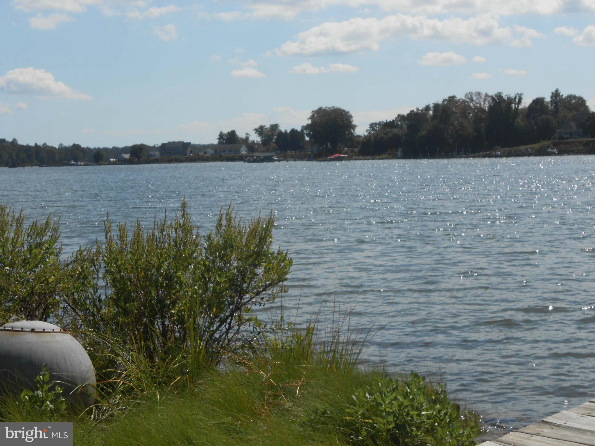 HALF PONE POINT - Residential Lease