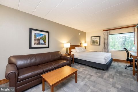 290 MARSH HILL ROAD 224A MC HENRY MD 21541