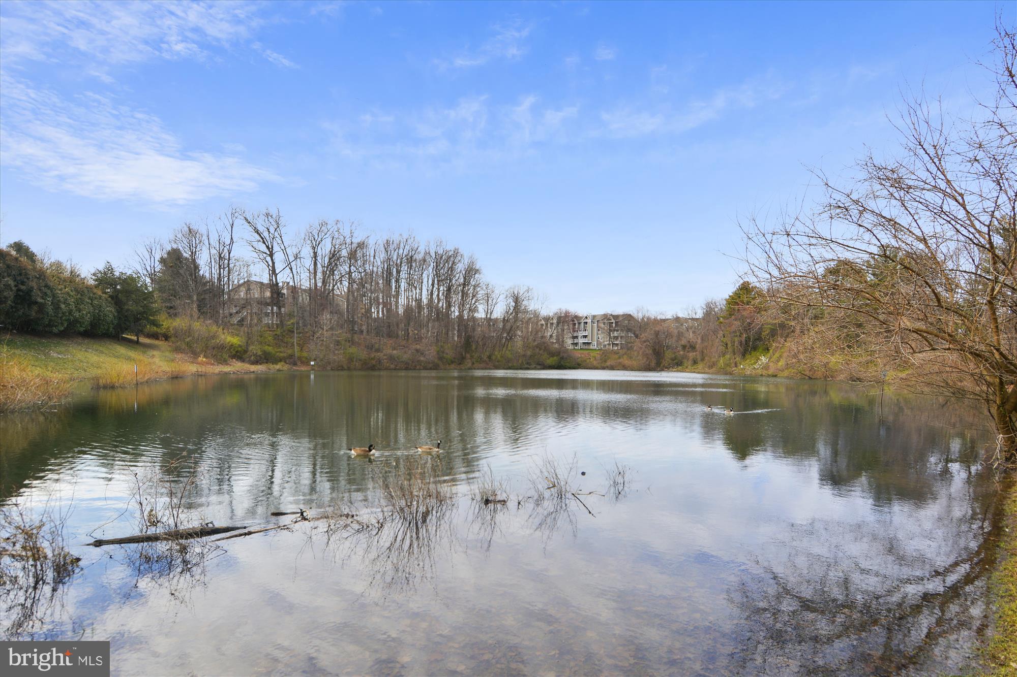 TUCKERMAN STATION - Residential Lease