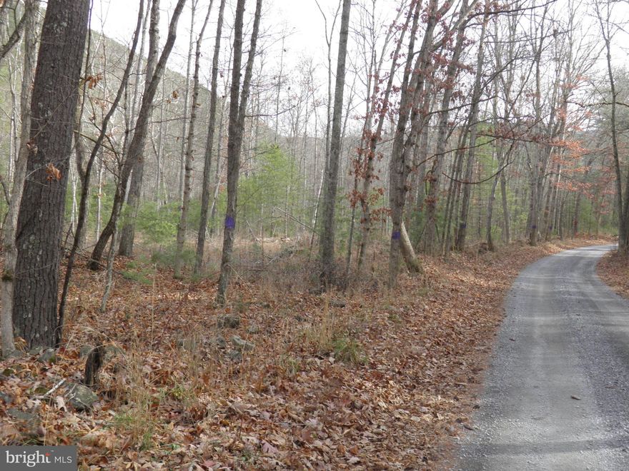 14 +/- acres of mostly level, wooded land adjoining the George Washington National Forest. Property borders a state maintained road and is situated in close proximity to both Camp Run Campground and Camp Run Lake. Perfect for camping, hunting, fishing, canoeing and relaxing!