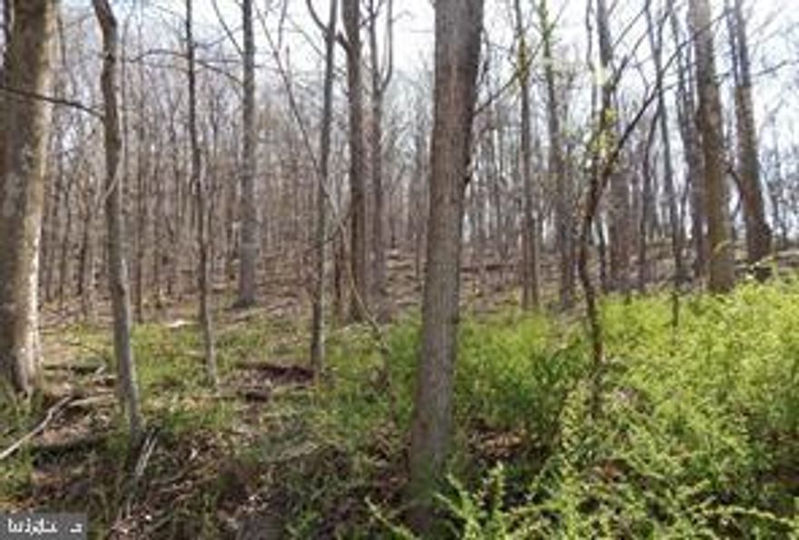 Build your dream vacation cabin on this 2.30 wooded acres. Or your permanent residence.  Desirable area of Berkley Springs, WV. Property has been perked for 3 Bedroom septic system. Bring your building plans and start making family memories in the country. Priced at $30,000.. Additional parcels available. Call today for more information.