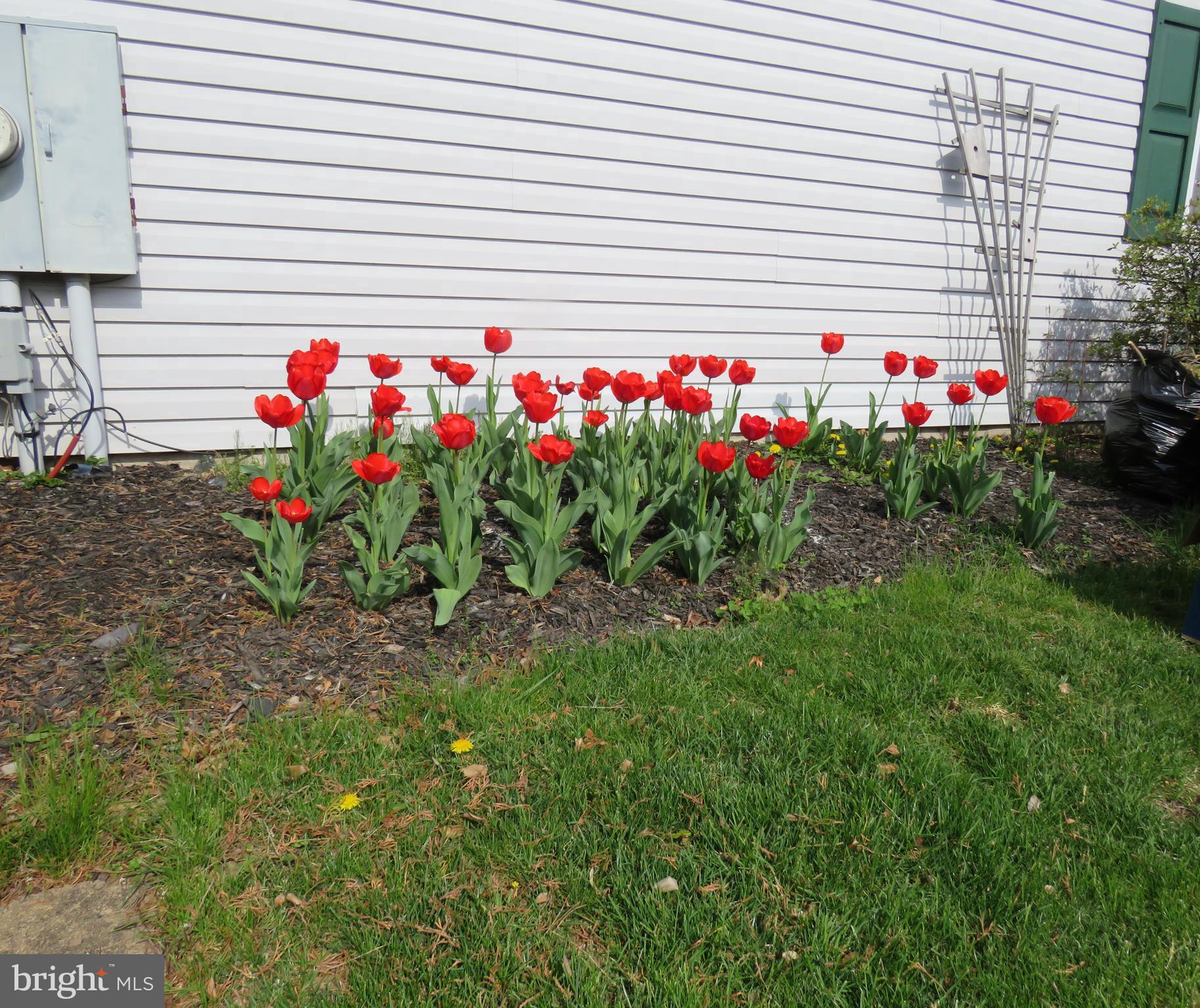BUCKINGHAM SPRINGS - Residential