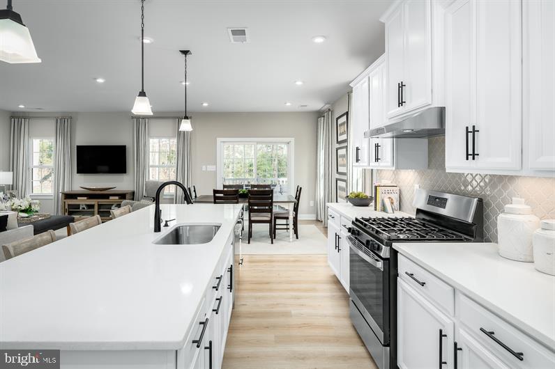 737 SAGEBRUSH LOOP