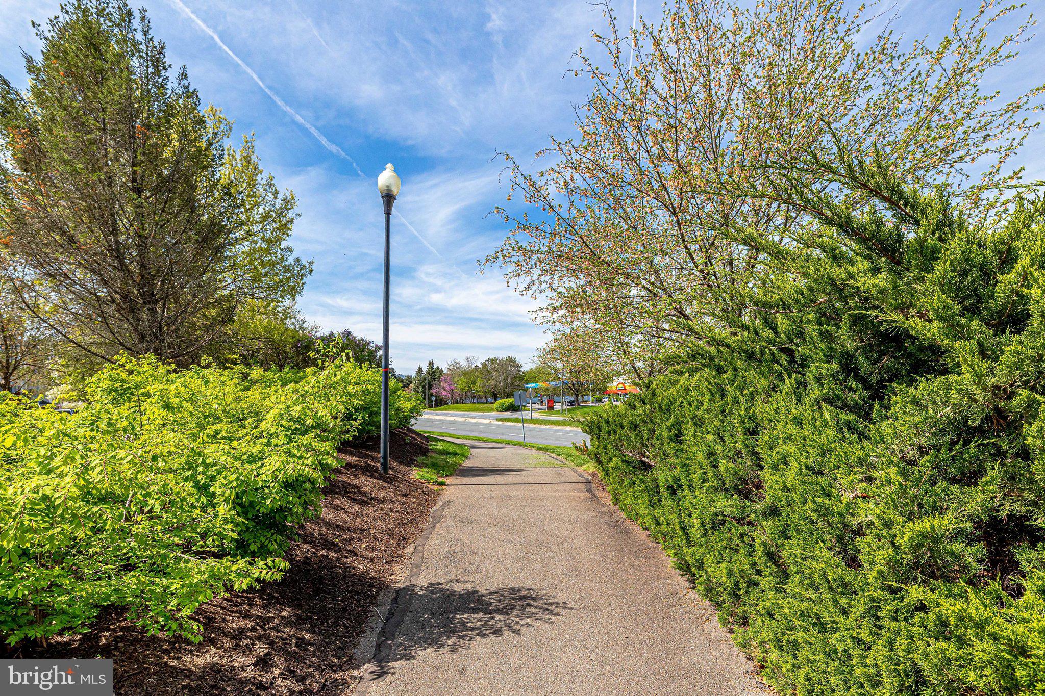CENTRAL PARKE AT LOWES ISLAND - Residential