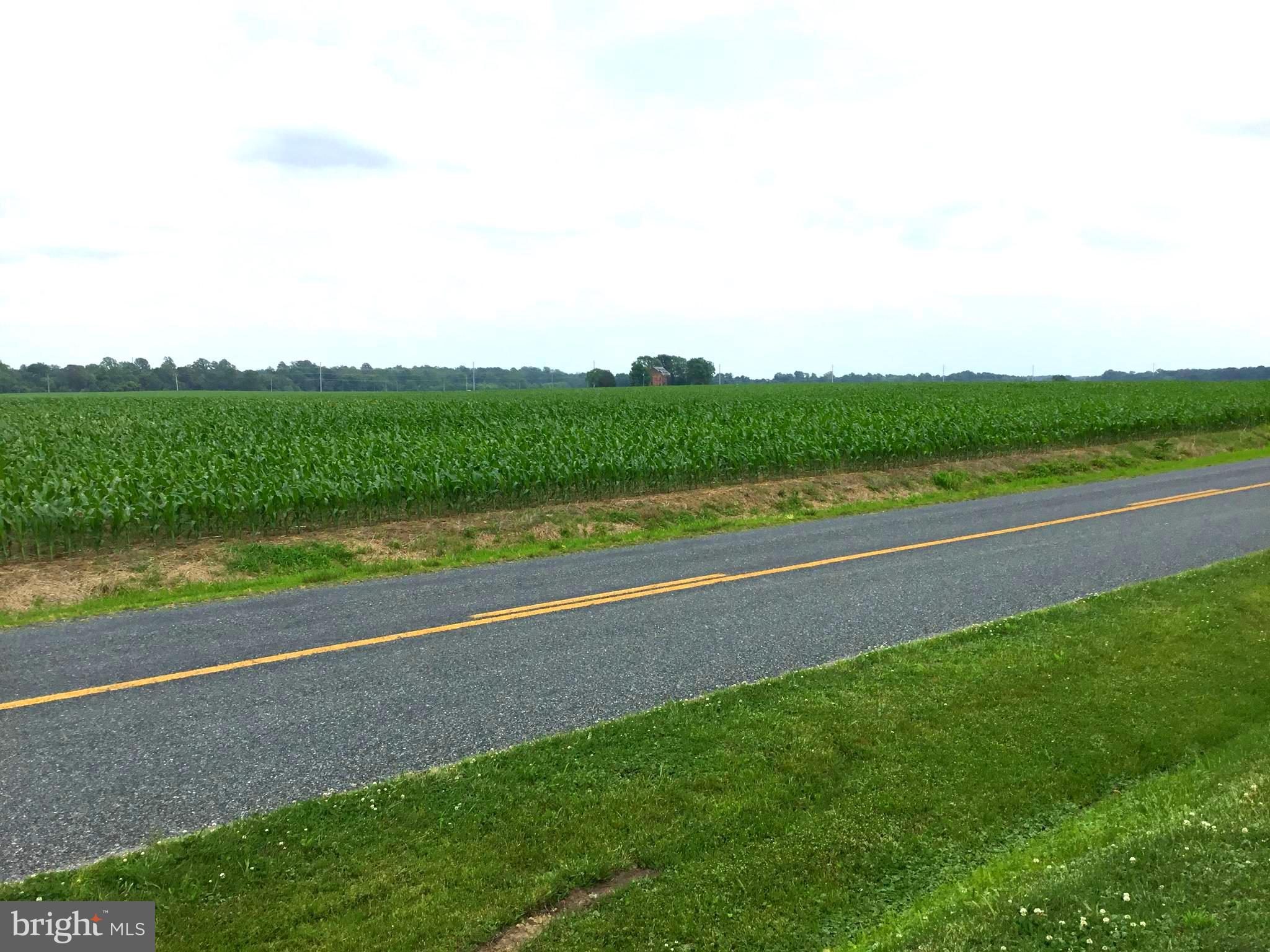 272 GRANNY BRANCH ROAD