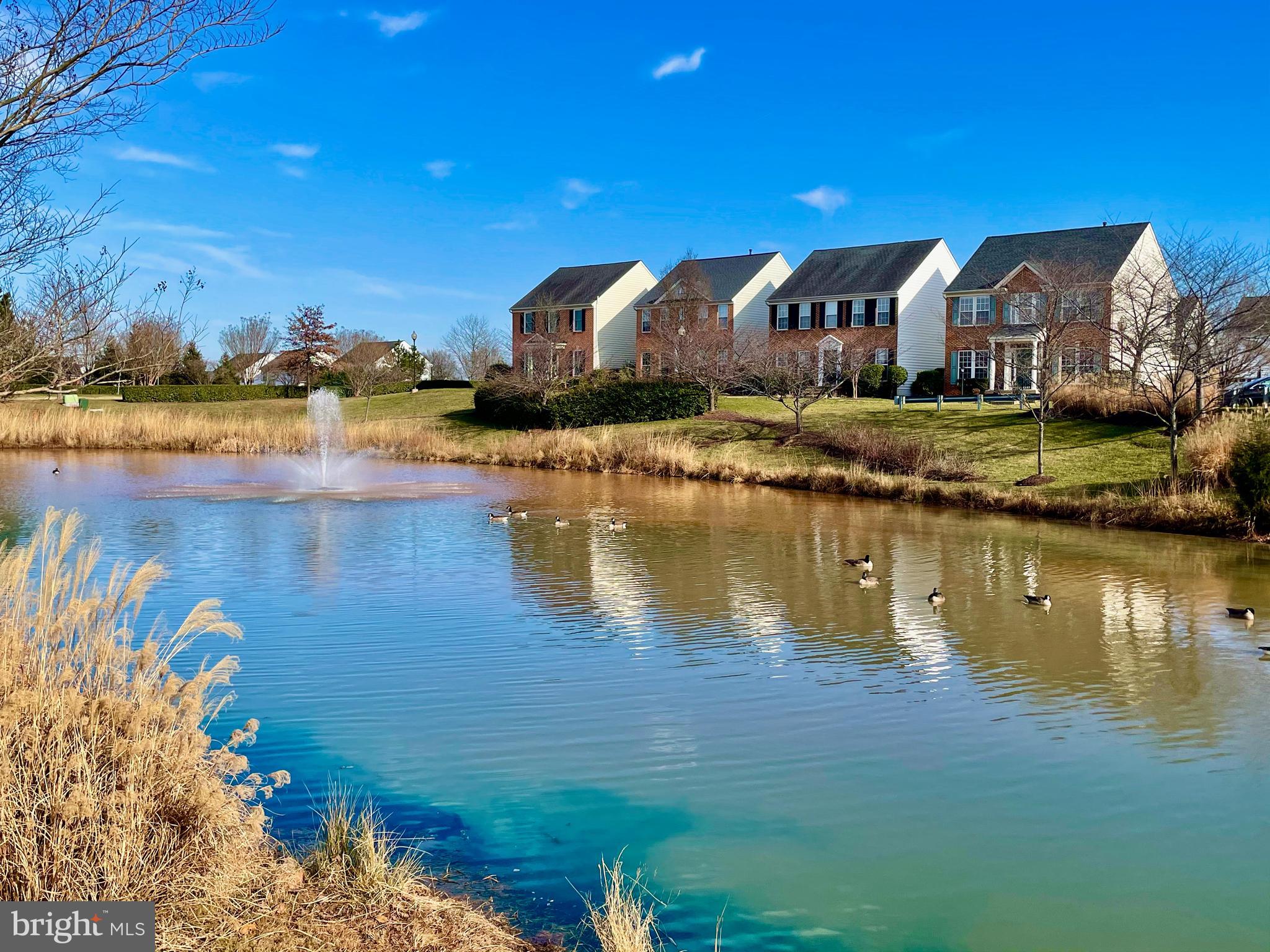 PARKS AT PIEDMONT - Residential