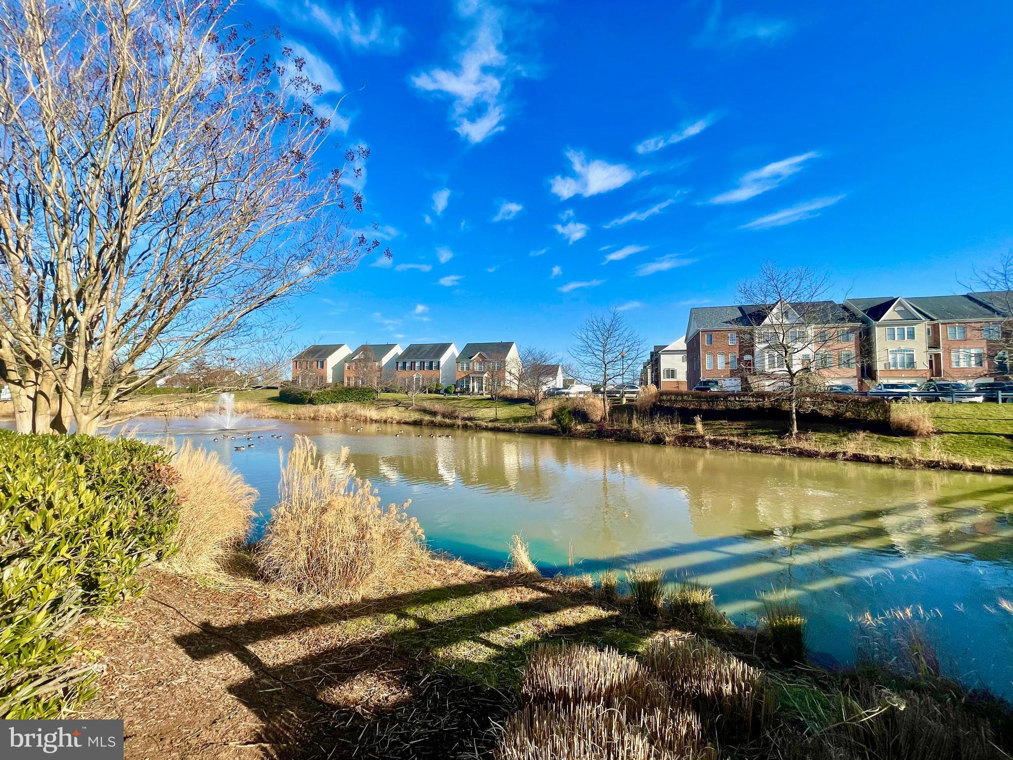 PARKS AT PIEDMONT - Residential