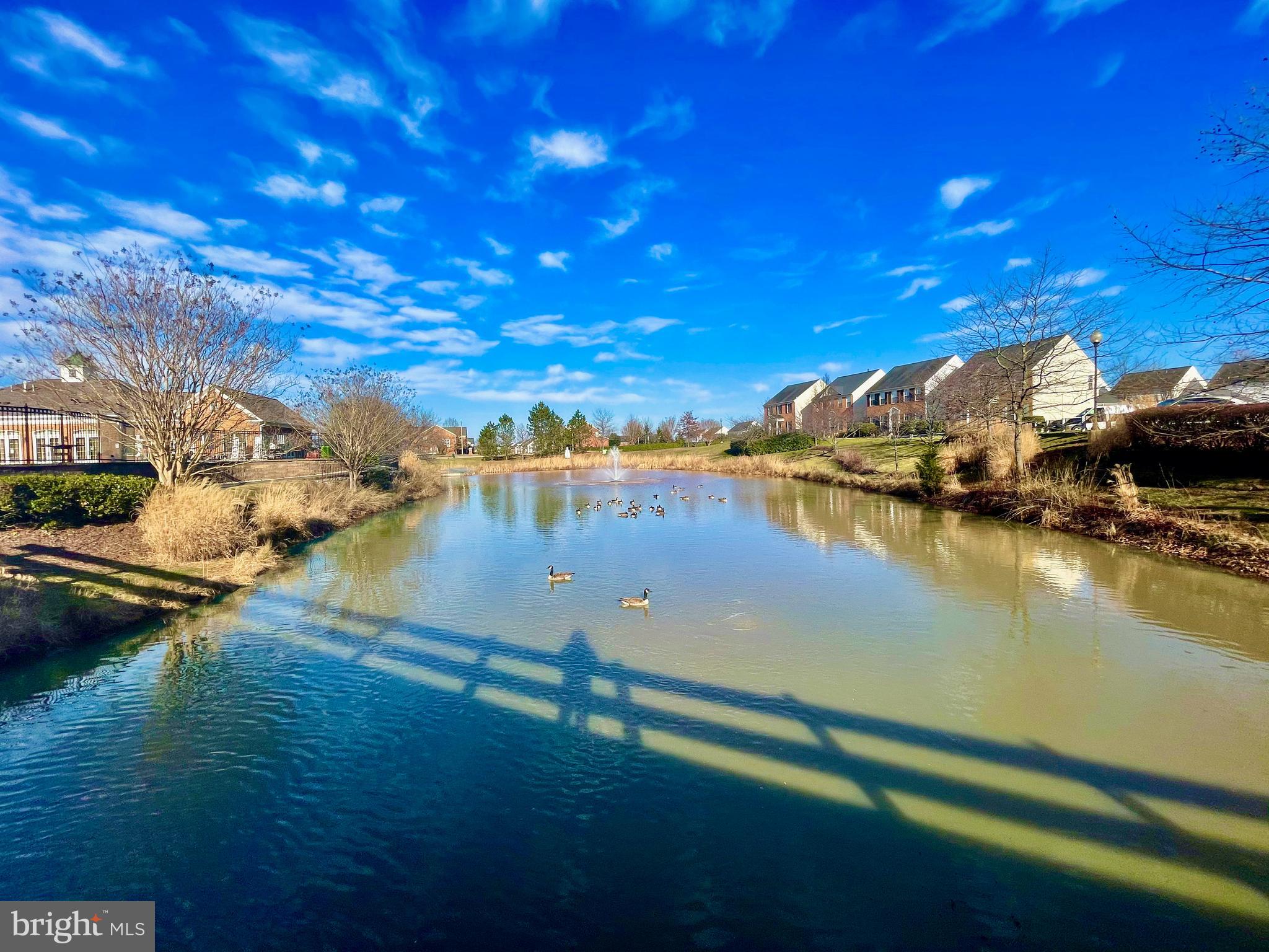 PARKS AT PIEDMONT - Residential