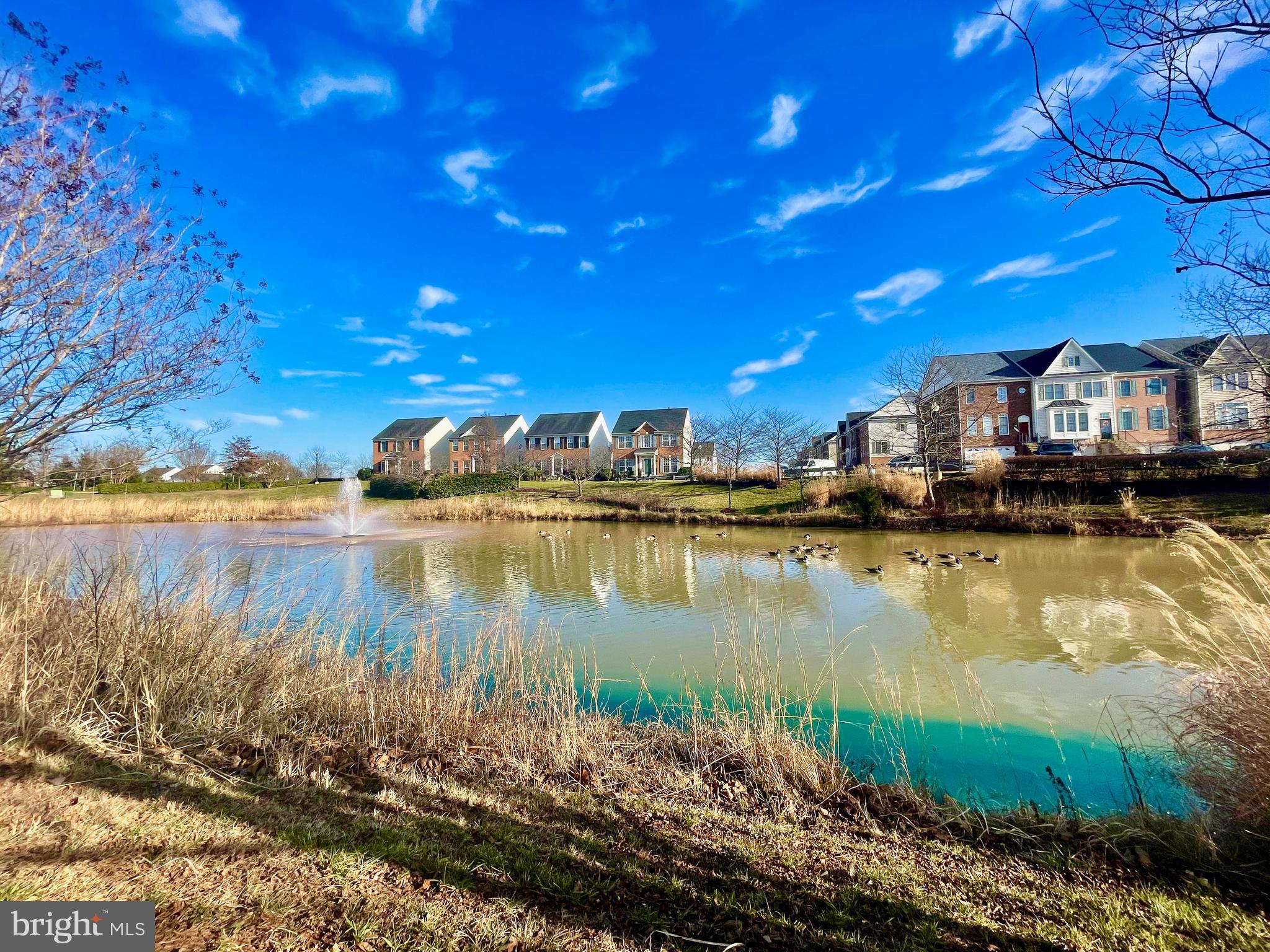 PARKS AT PIEDMONT - Residential