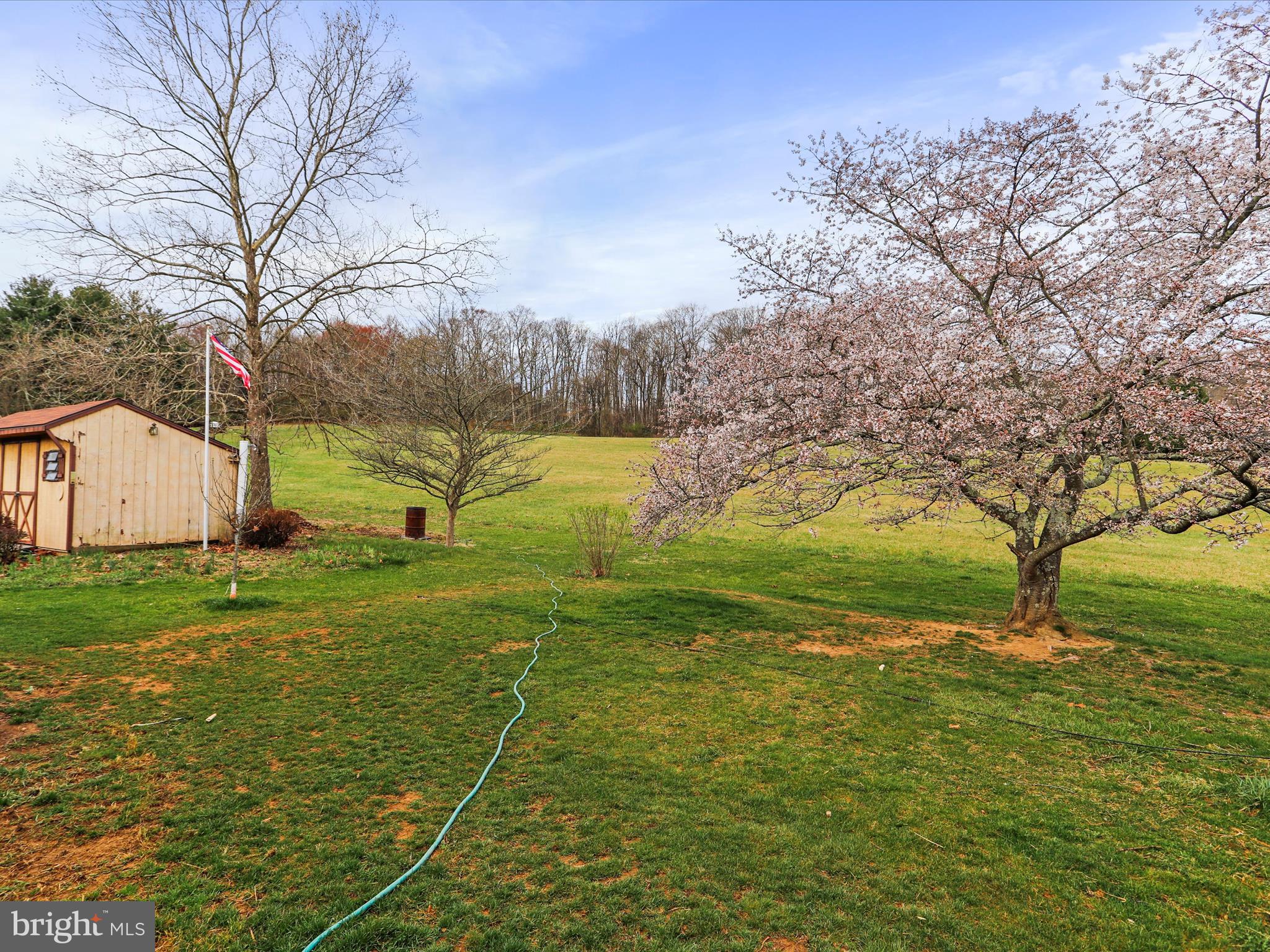 CLEAR SPRING - Residential