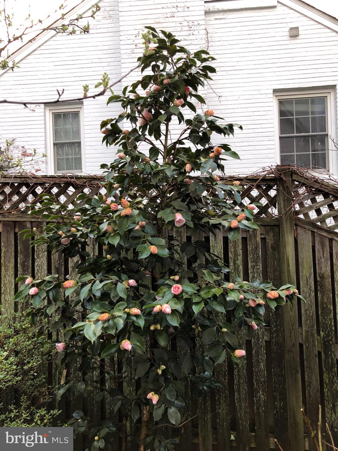 WESTMORELAND HILLS - Residential