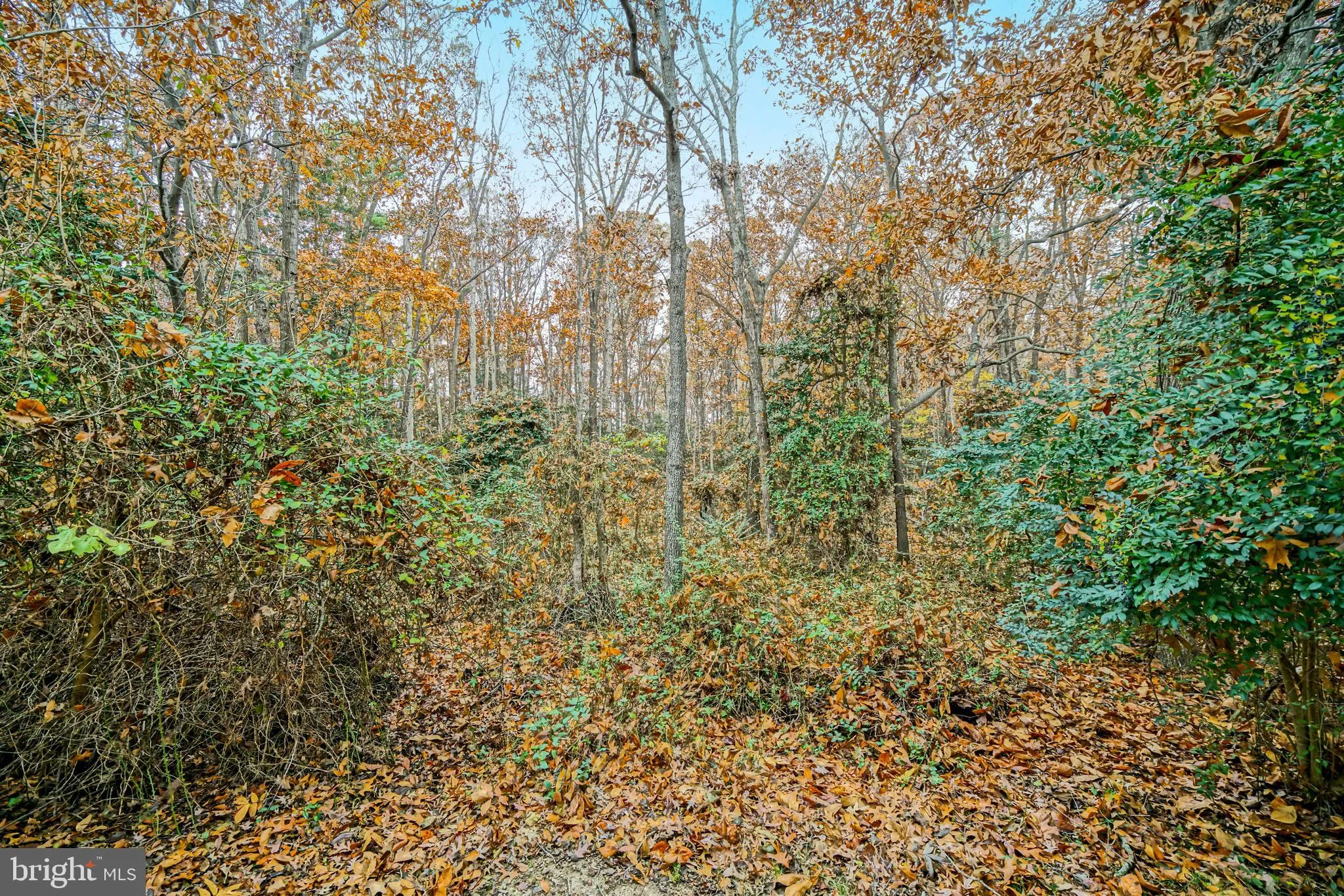 Lewes, Delaware 19958, United States, 2 Bedrooms Bedrooms, ,2 BathroomsBathrooms,Residential,Active,248899