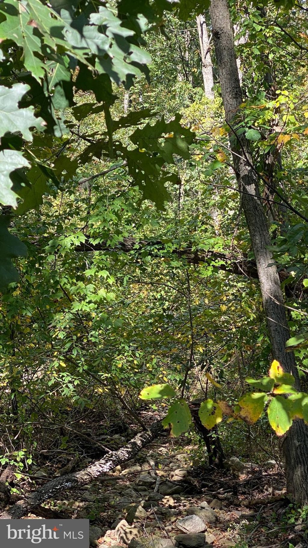 Photo of 0 Southside Drive, NEWVILLE, PA 17241 (MLS # PACB2035754)