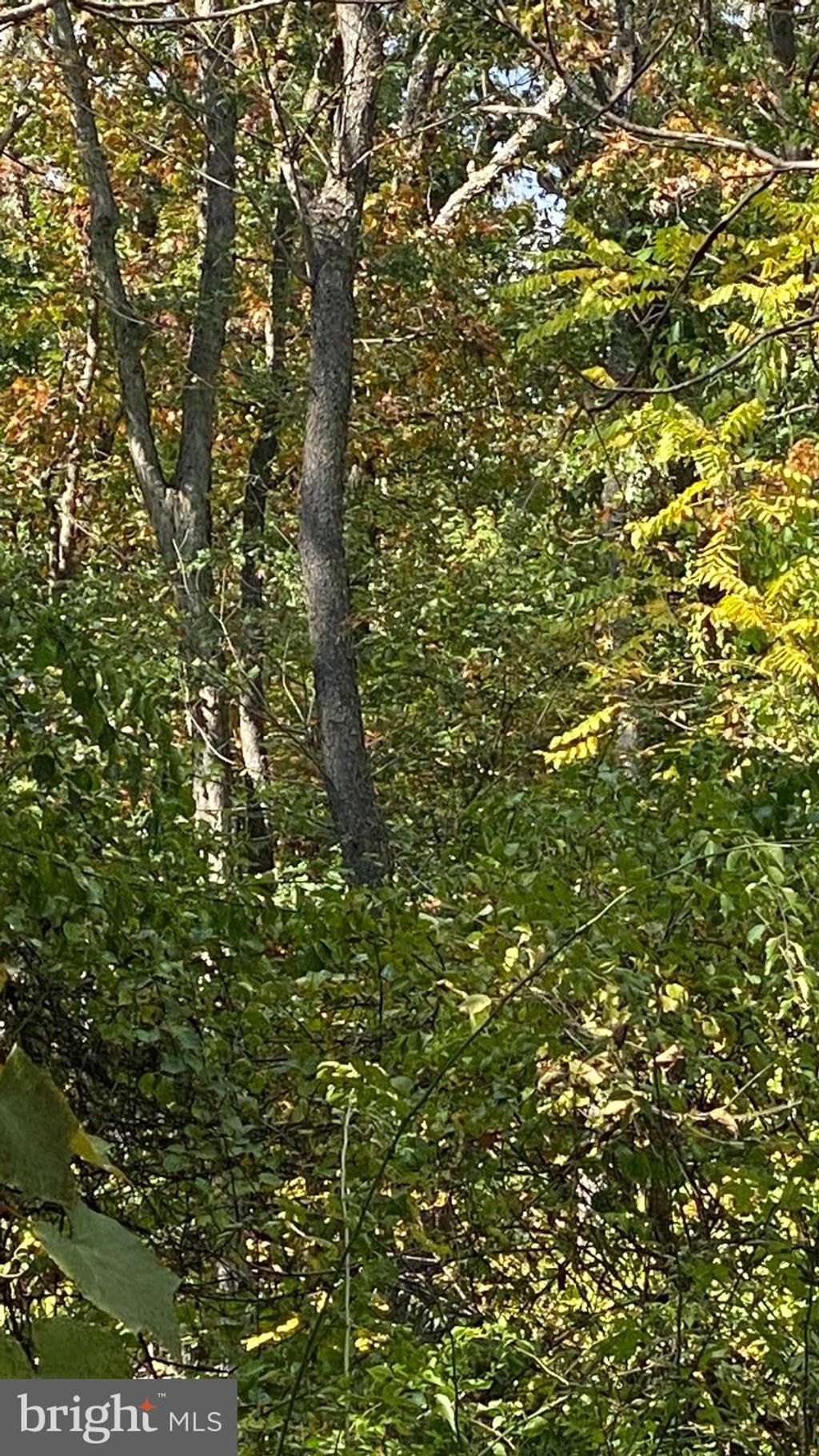 Photo of 0 Southside Drive, NEWVILLE, PA 17241 (MLS # PACB2035754)