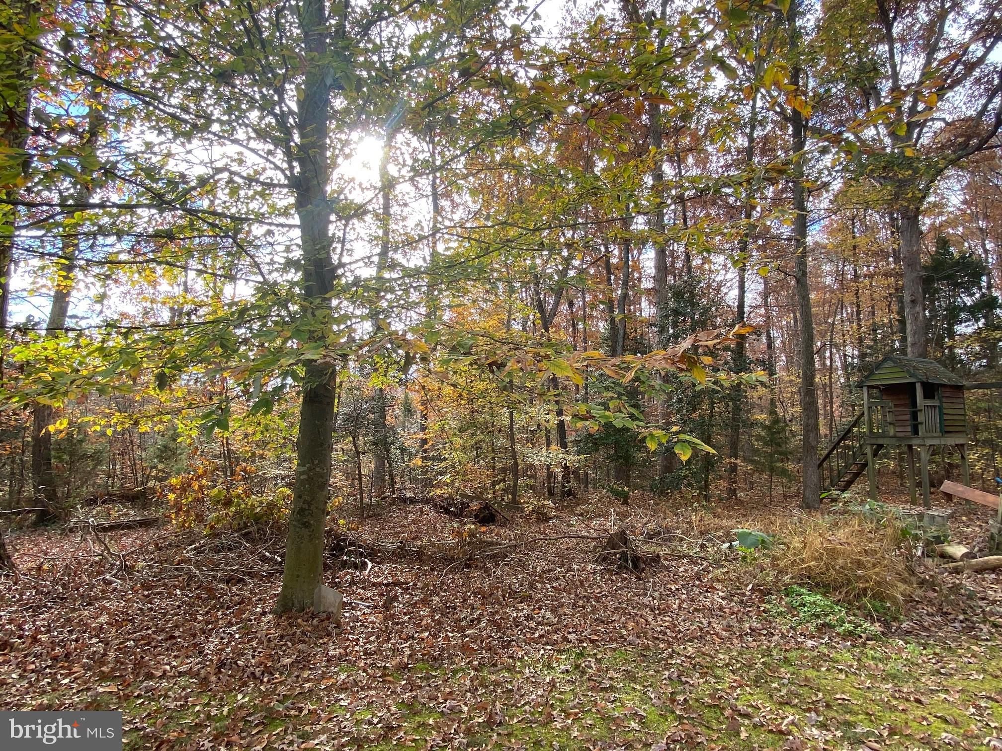 BRUCE KNOLLS - Residential