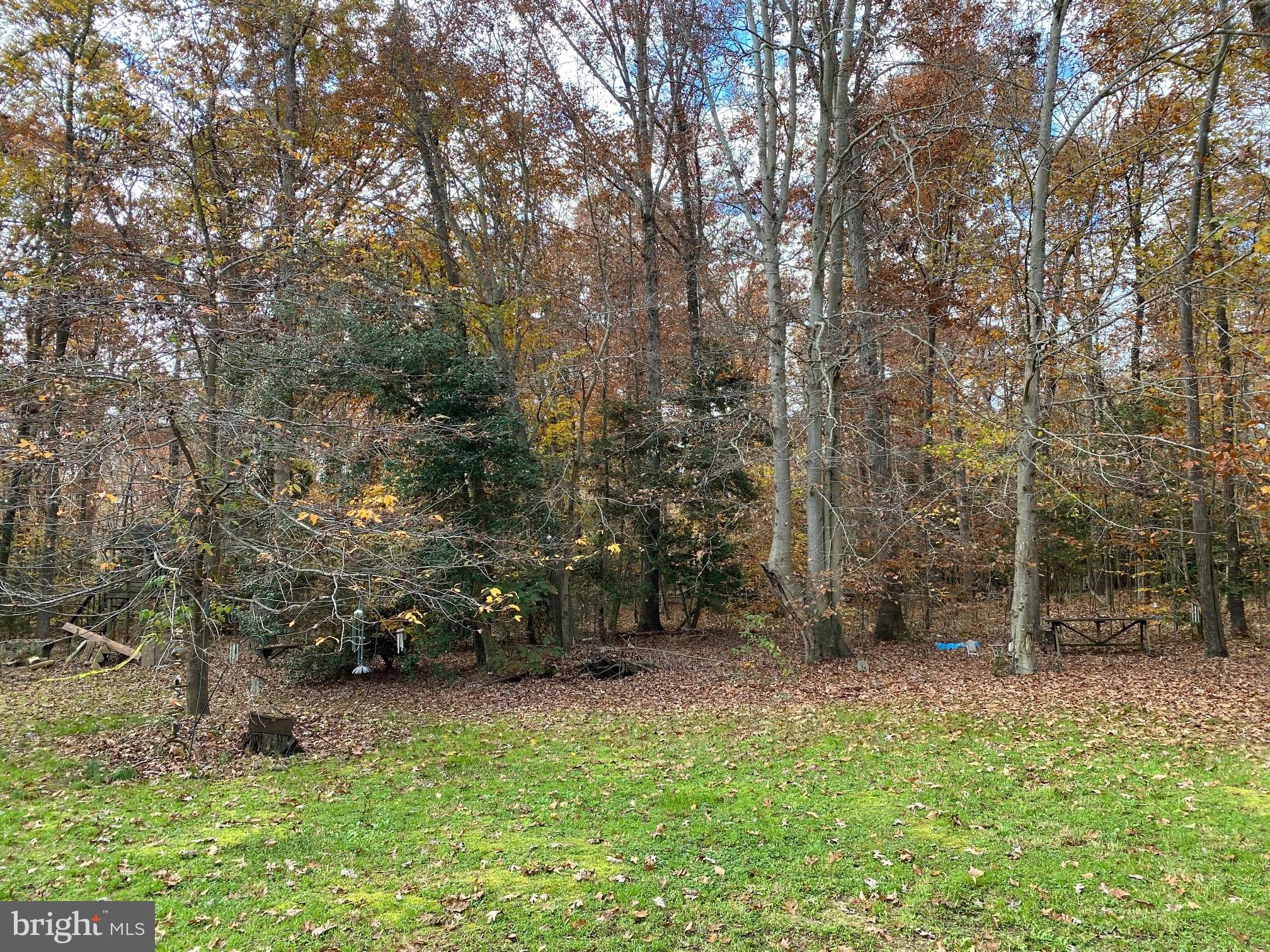 BRUCE KNOLLS - Residential