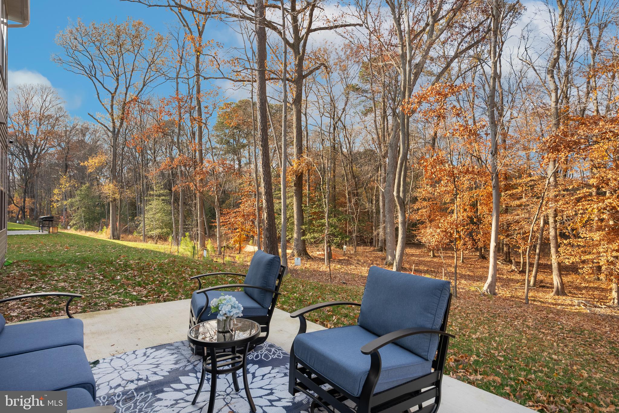 LAKESIDE AT TRAPPE - Residential