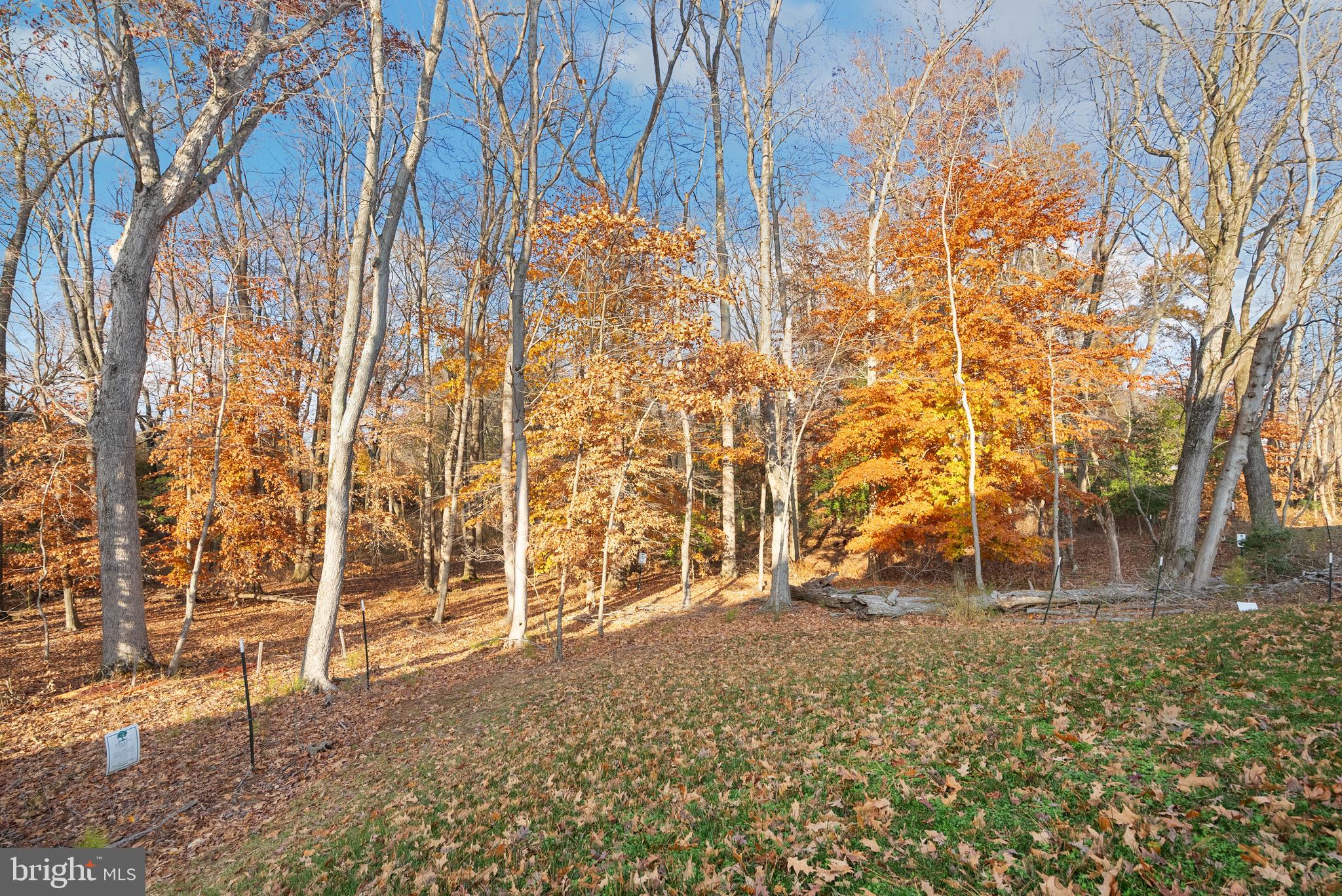 LAKESIDE AT TRAPPE - Residential