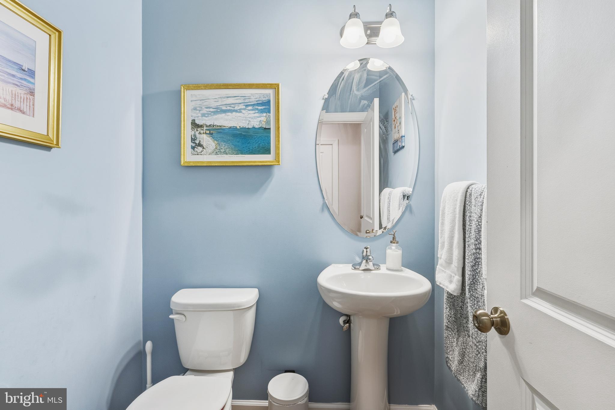 LAKESIDE AT TRAPPE - Residential