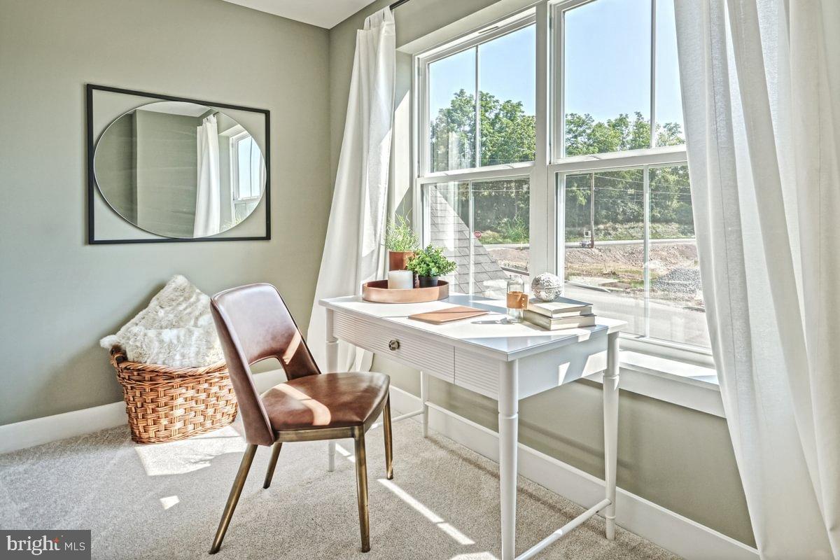 THE HORIZON AT BRUSH VALLEY - Residential