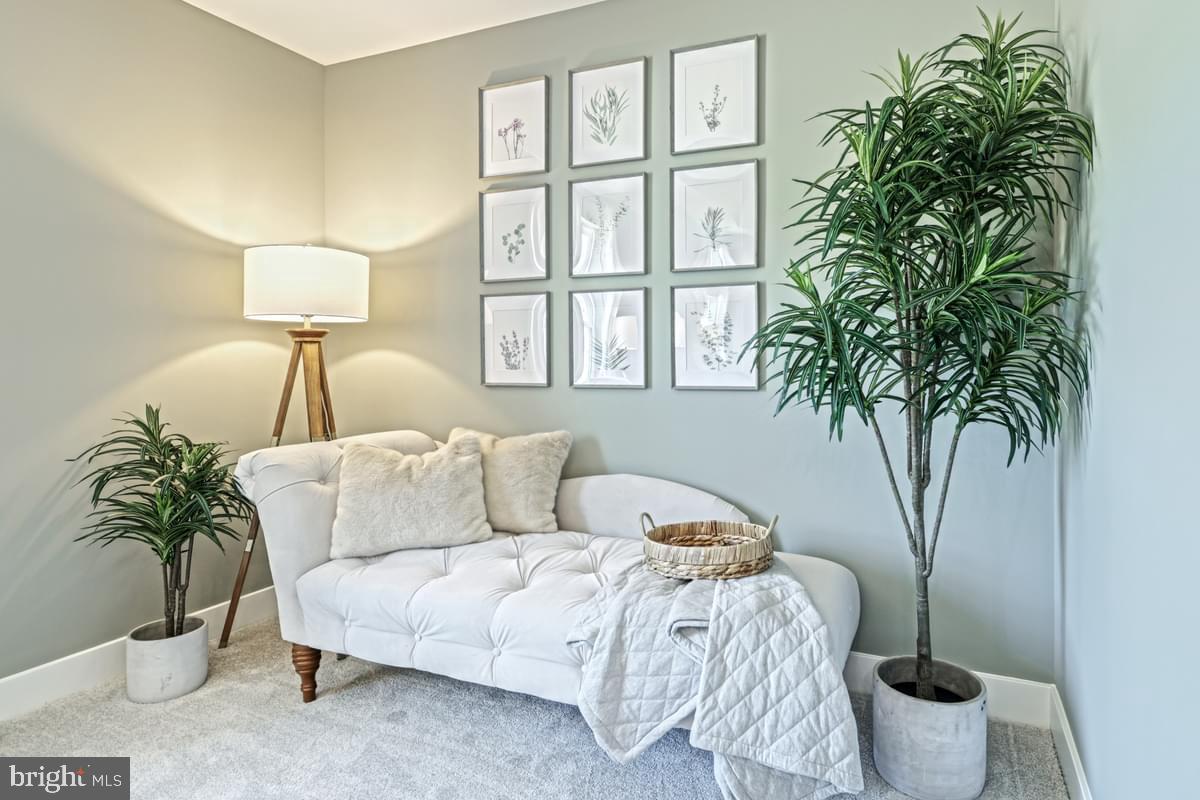 THE HORIZON AT BRUSH VALLEY - Residential