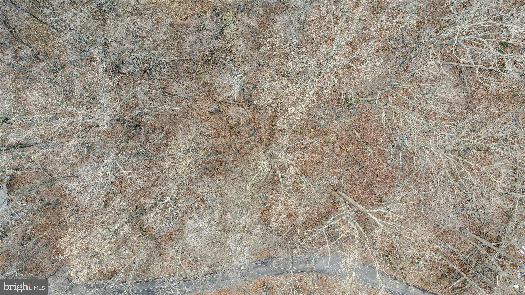 Lots 205-208 WOODPECKER LANE