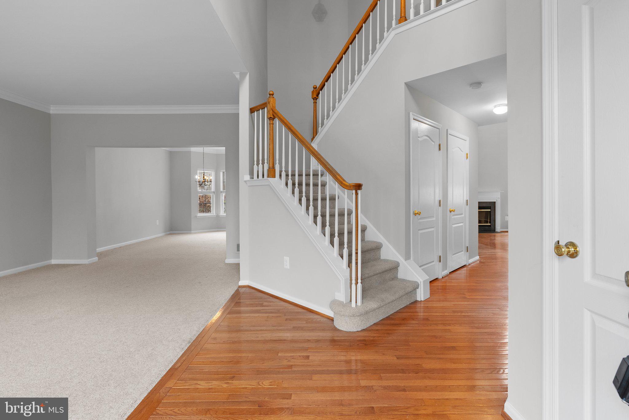 OLDE VILLAGE - Residential