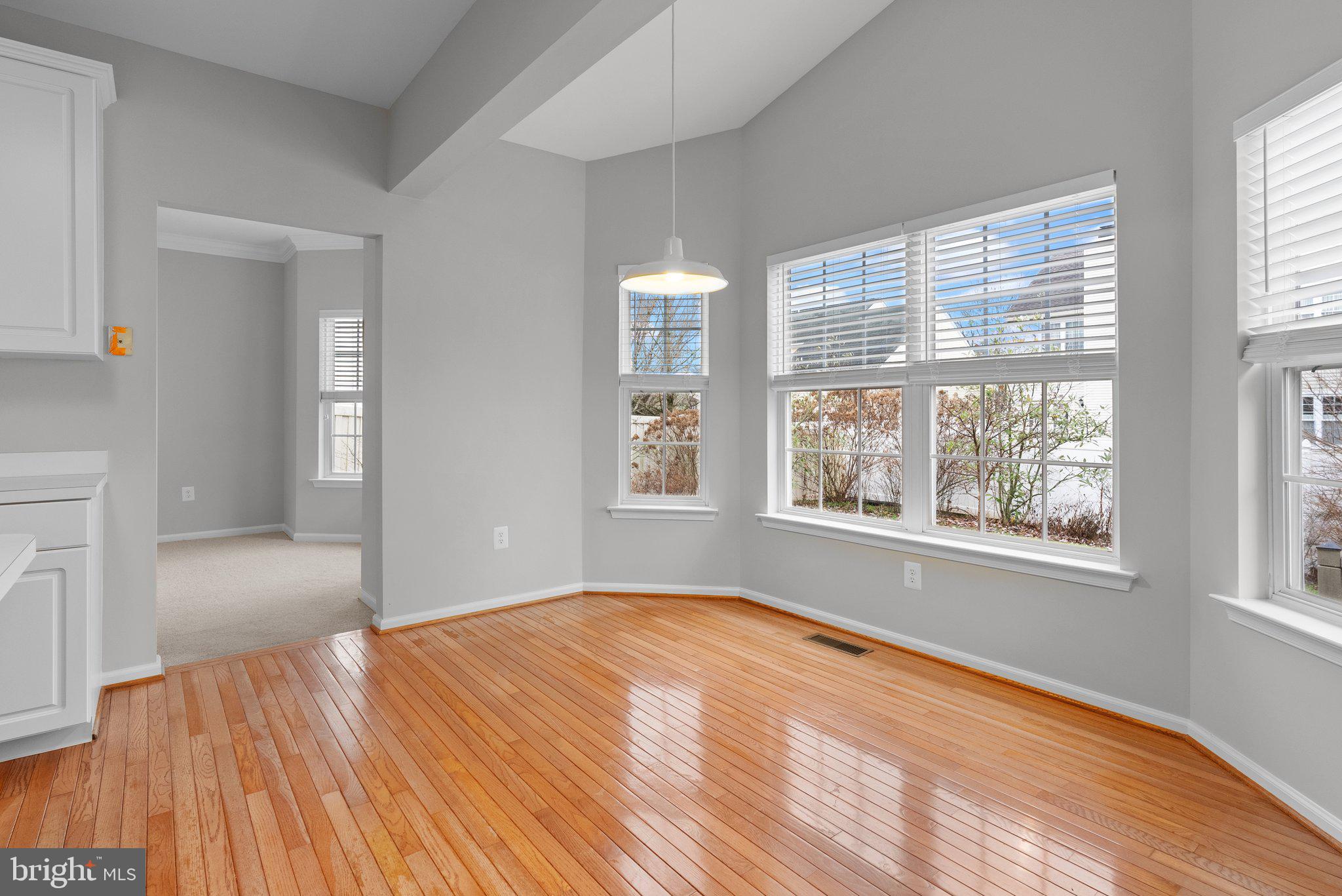 OLDE VILLAGE - Residential