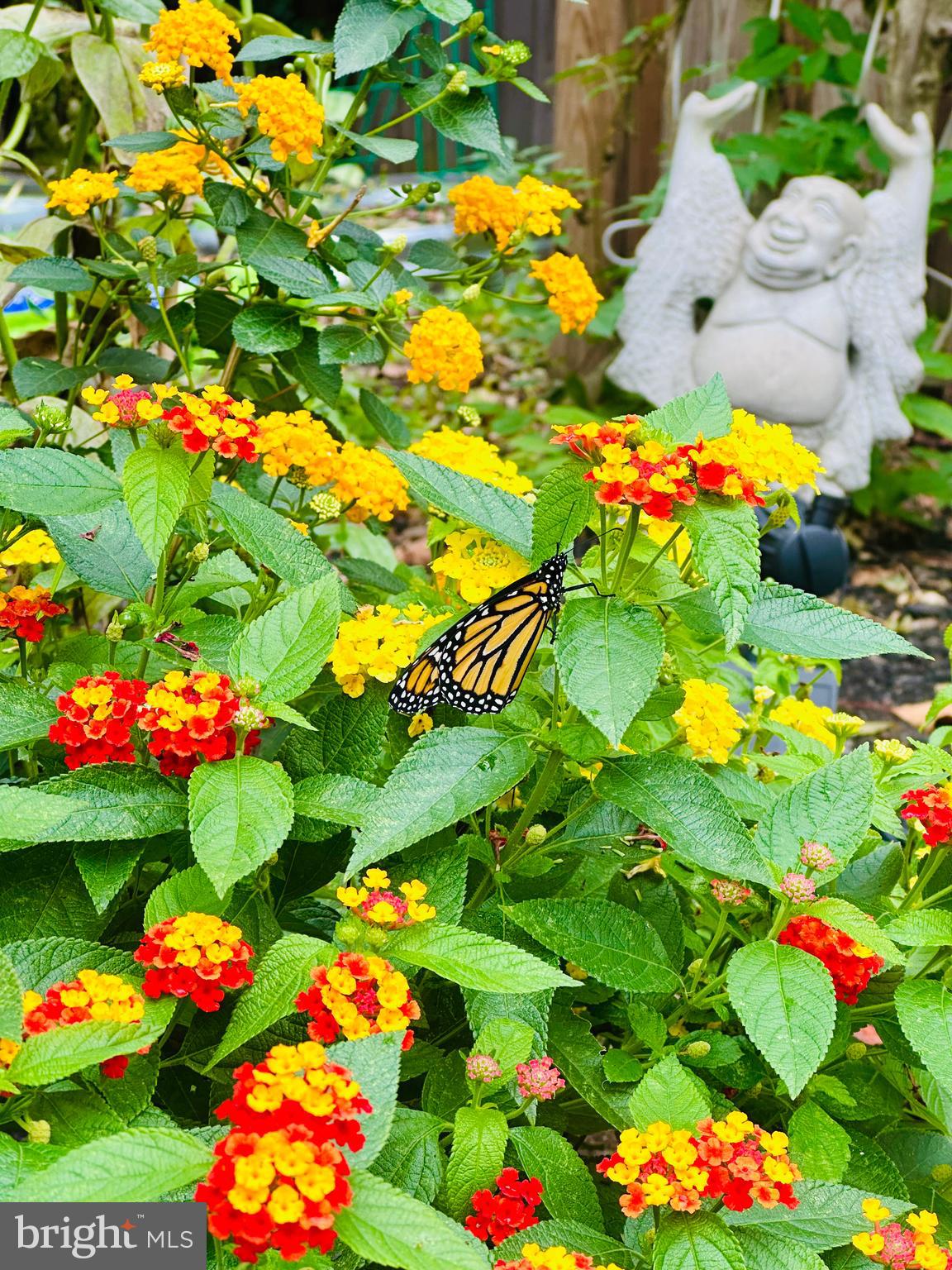 POPLAR HEIGHTS - Residential