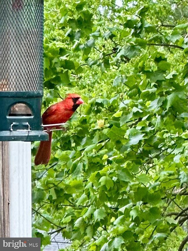 POPLAR HEIGHTS - Residential