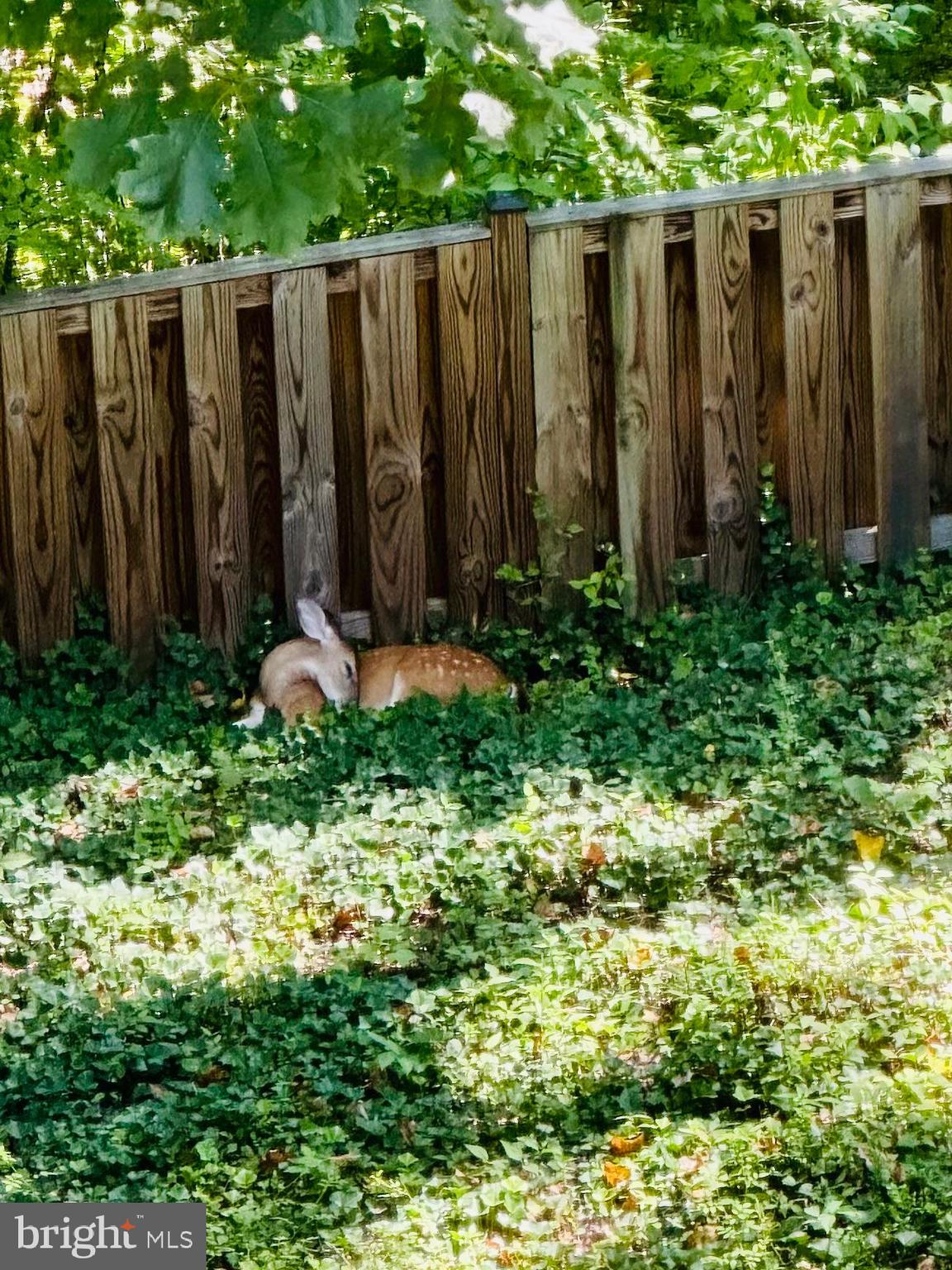 POPLAR HEIGHTS - Residential