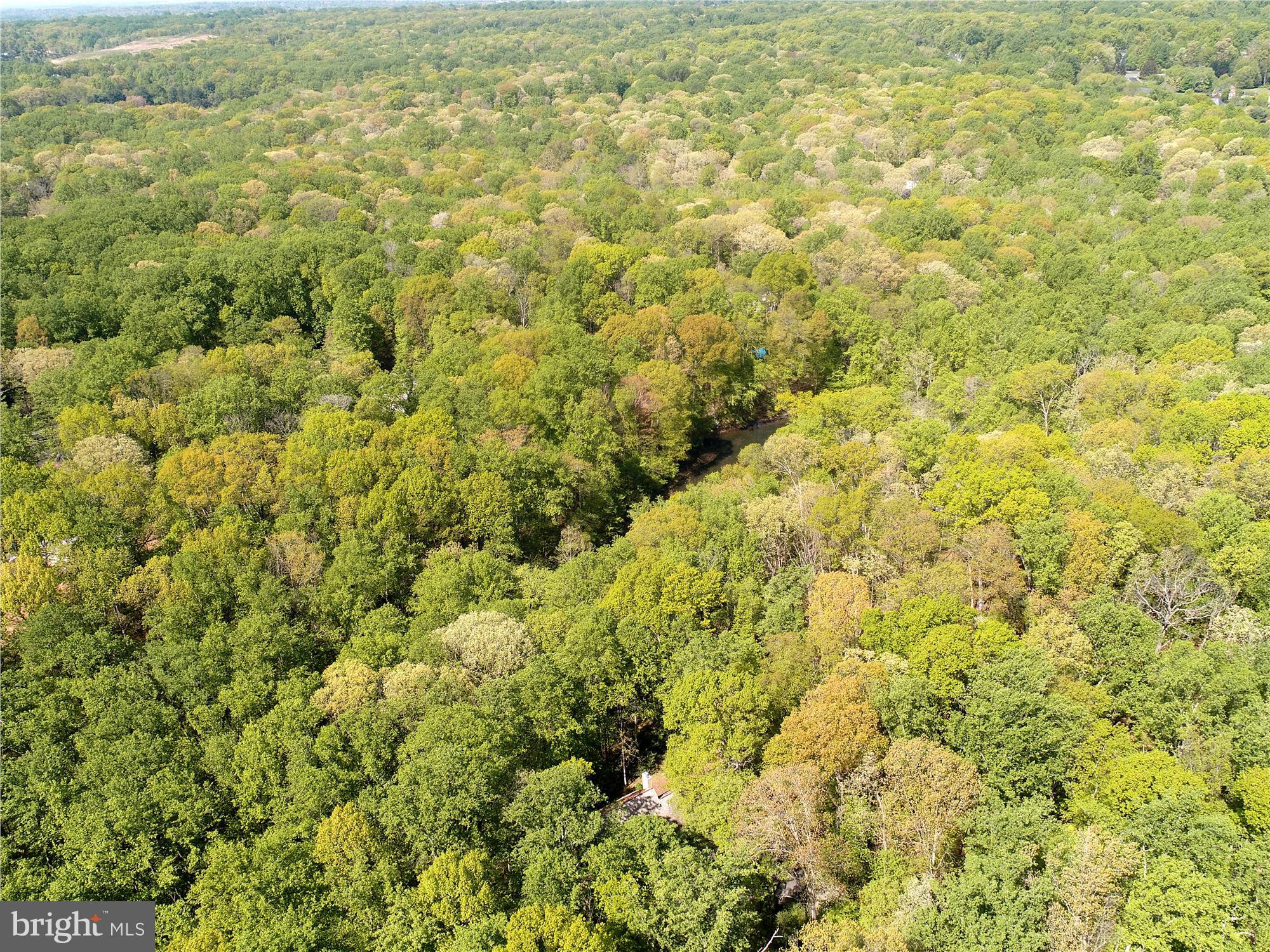 SPRINGVALE FOREST ESTATES - Residential