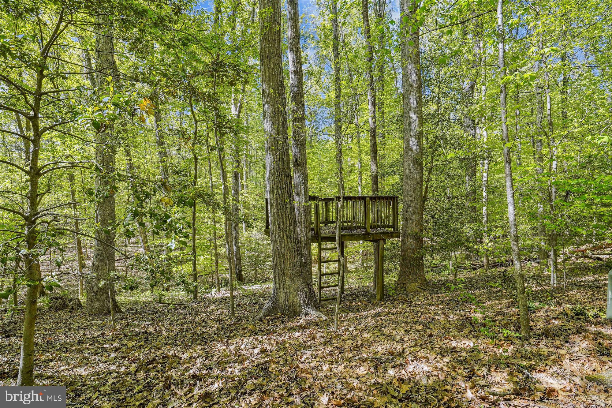 SPRINGVALE FOREST ESTATES - Residential