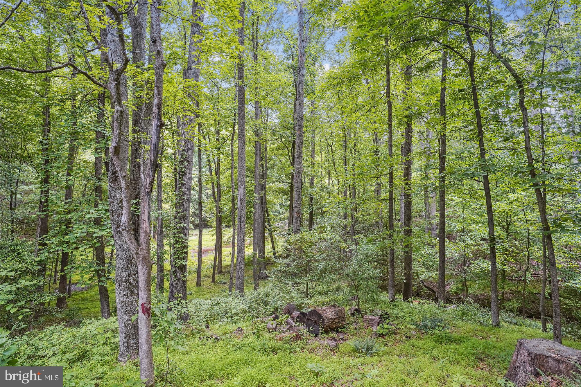 SPRINGVALE FOREST ESTATES - Residential