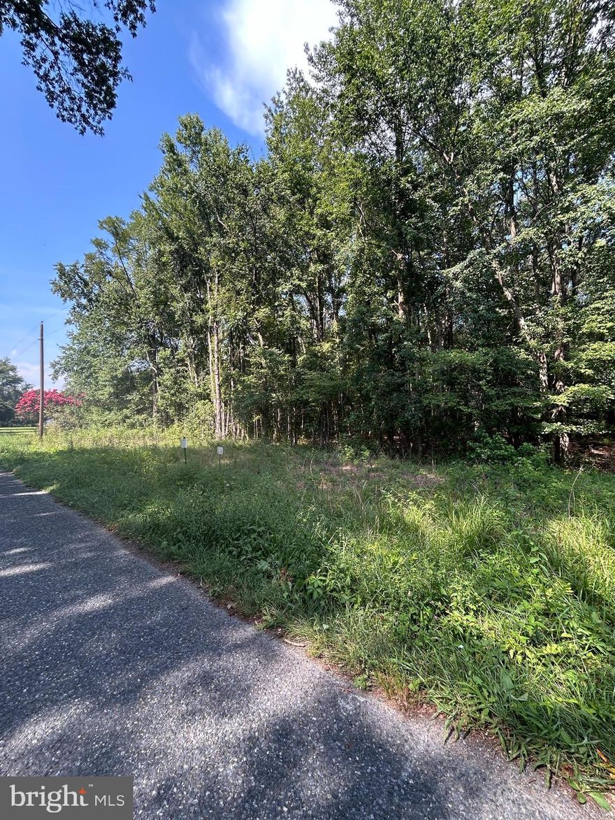 Wooded, 0.4+ acre buildable lot on Chesterville Forest Rd with sewer allocation already paid—a $11,800 value! Buyer just needs to install a grinder pump and connect. Survey and setbacks included for easy due diligence. Conveniently located near Rt. 301 for quick access north to Middletown, DE, or south to the Bay Bridge.