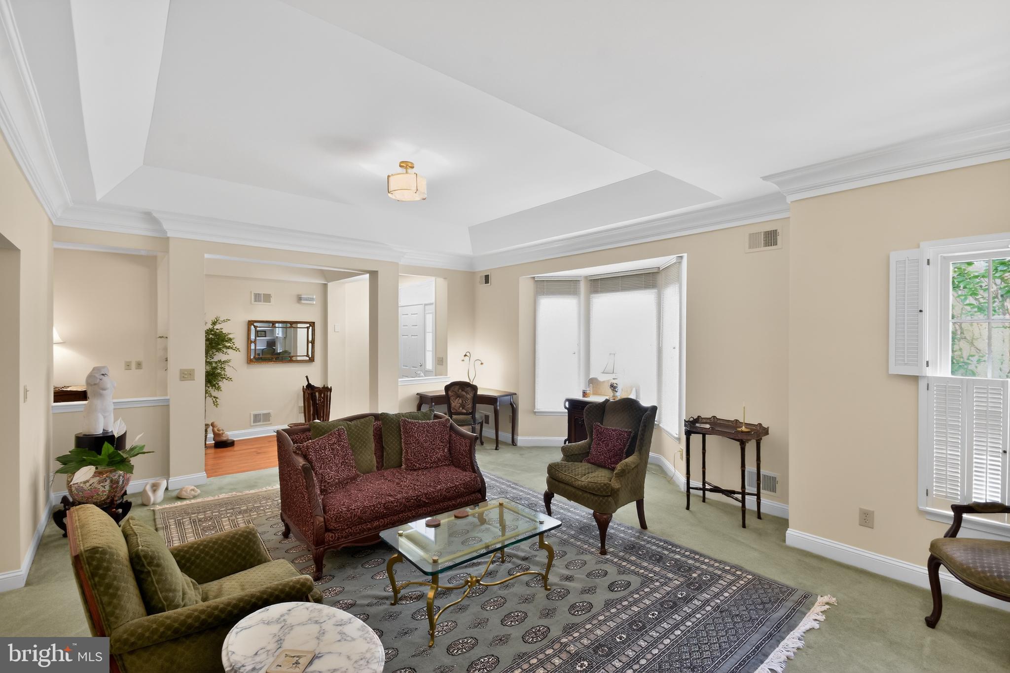 12 FRINGE TREE COURT