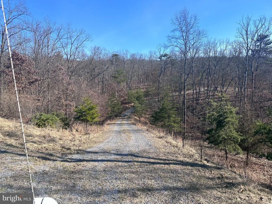 5.48-acre parcel with views of the mountains.  The driveway is already installed.  There is approximately 1 acre of cleared area, and the remainder is wooded with all hardwood trees.  There is a picturesque spot on your home site. Equine friendly.