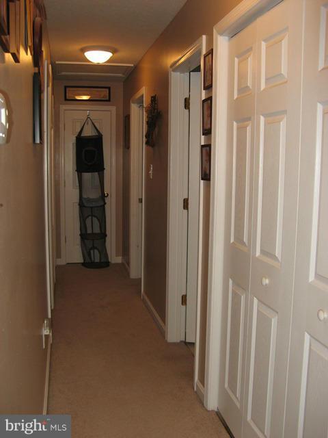 ELIZABETH STATION - Residential