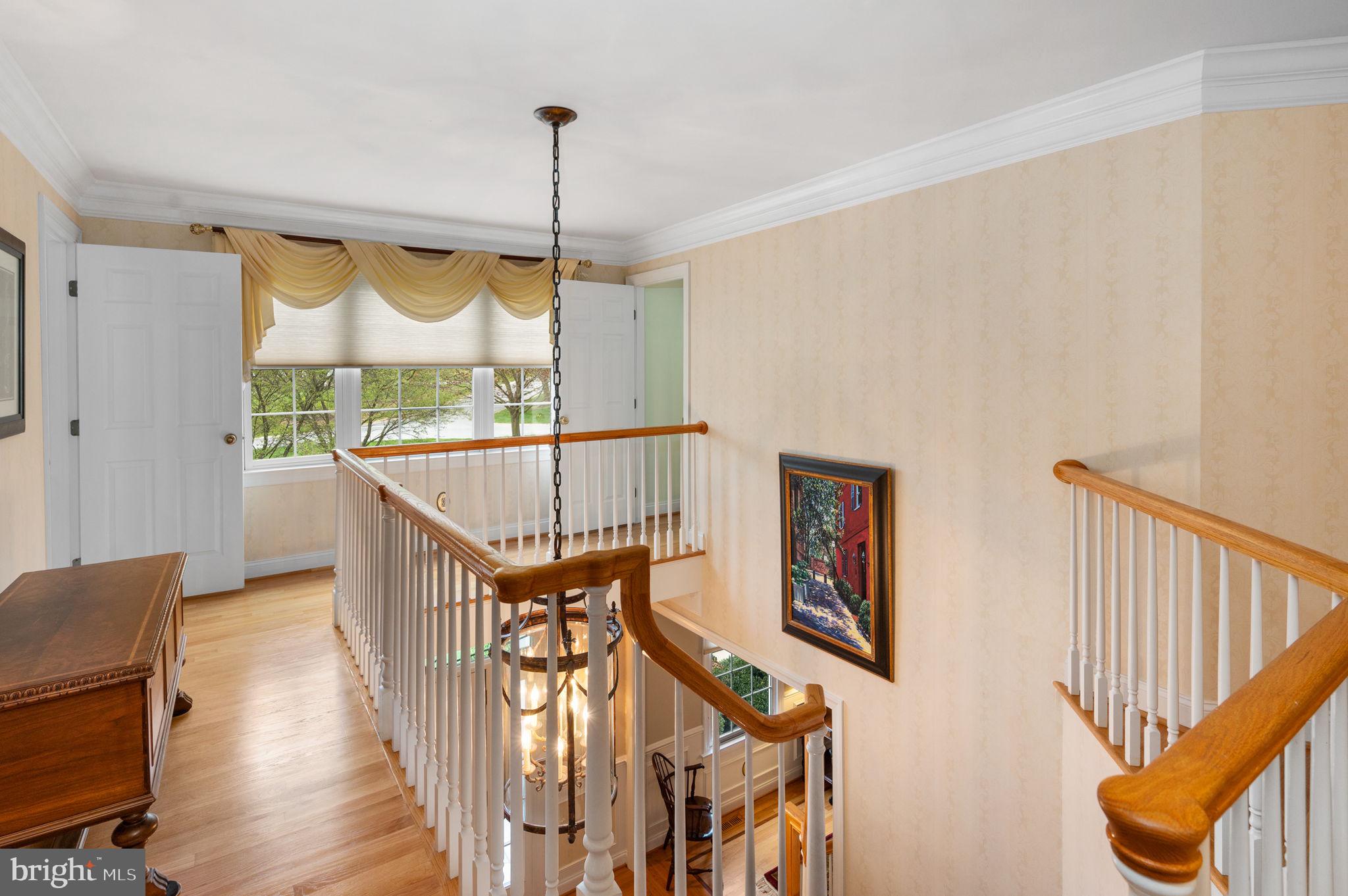 STEEPLECHASE - Residential