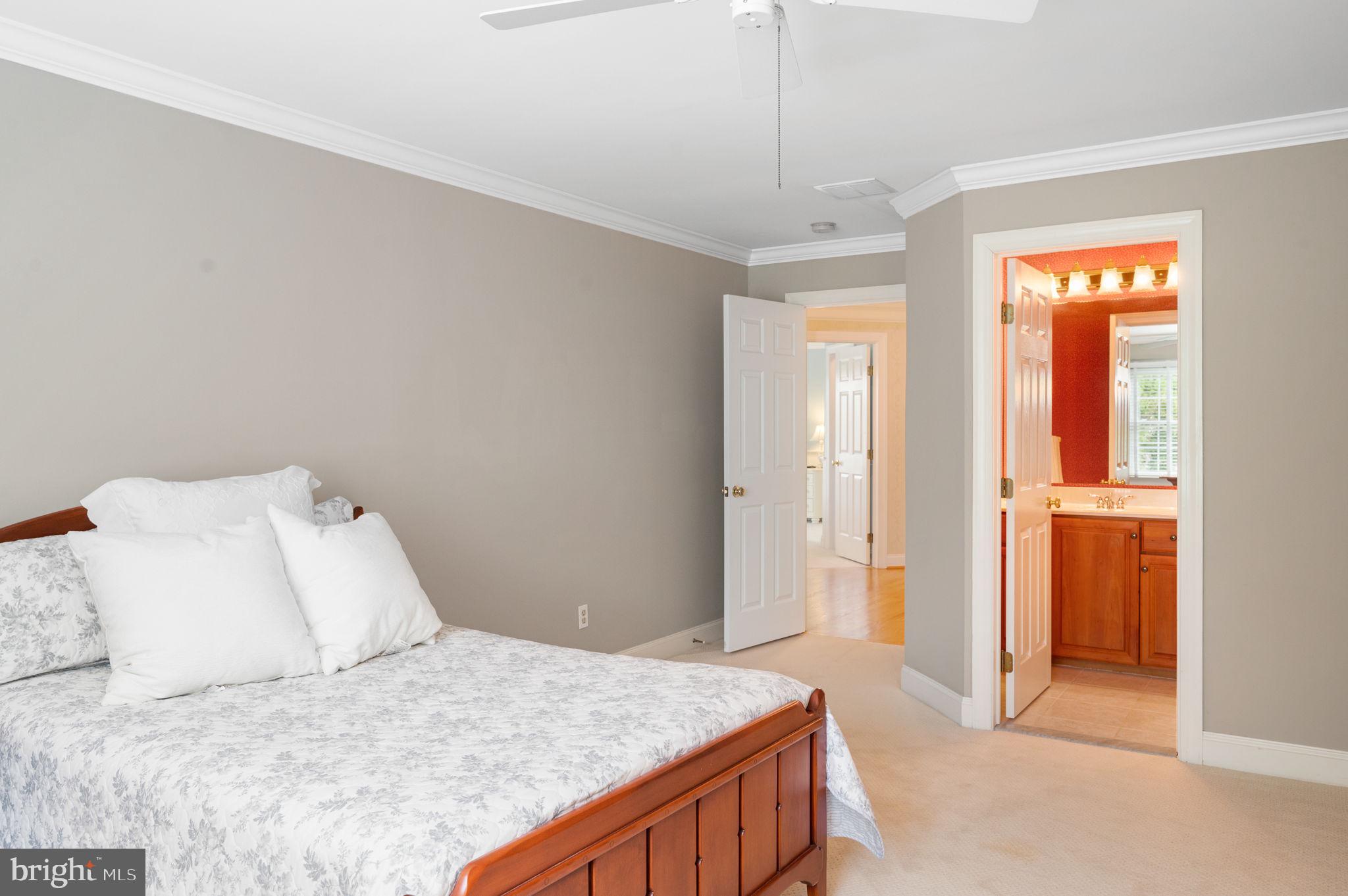 STEEPLECHASE - Residential