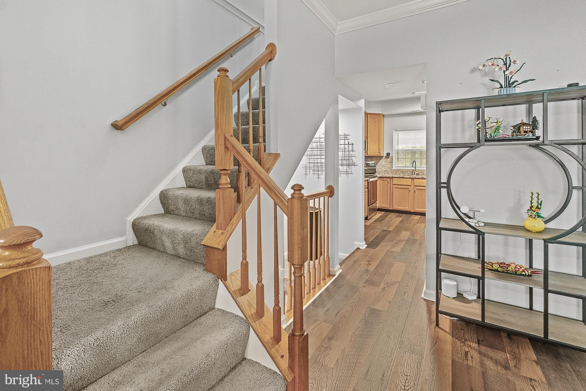 OWINGS MILLS - Residential