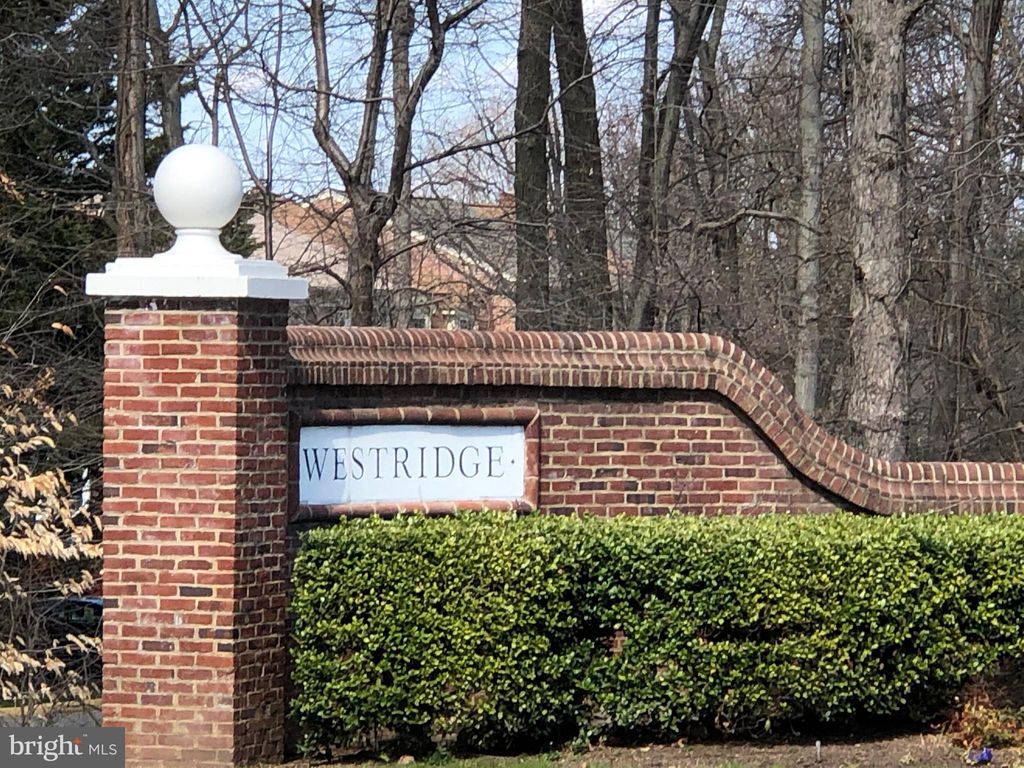 listing image 47