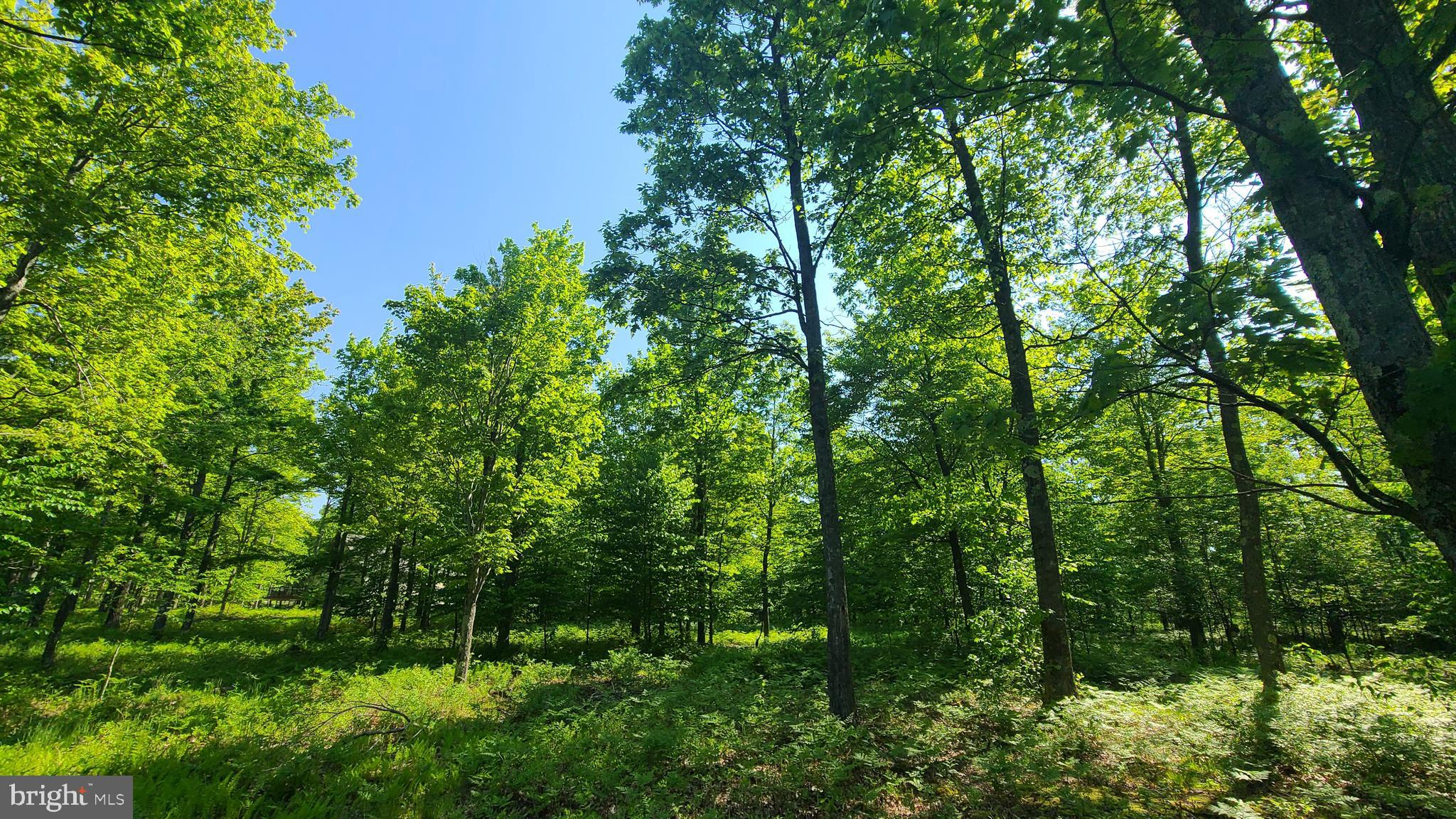 SANDY SHORES HEIGHTS - Land