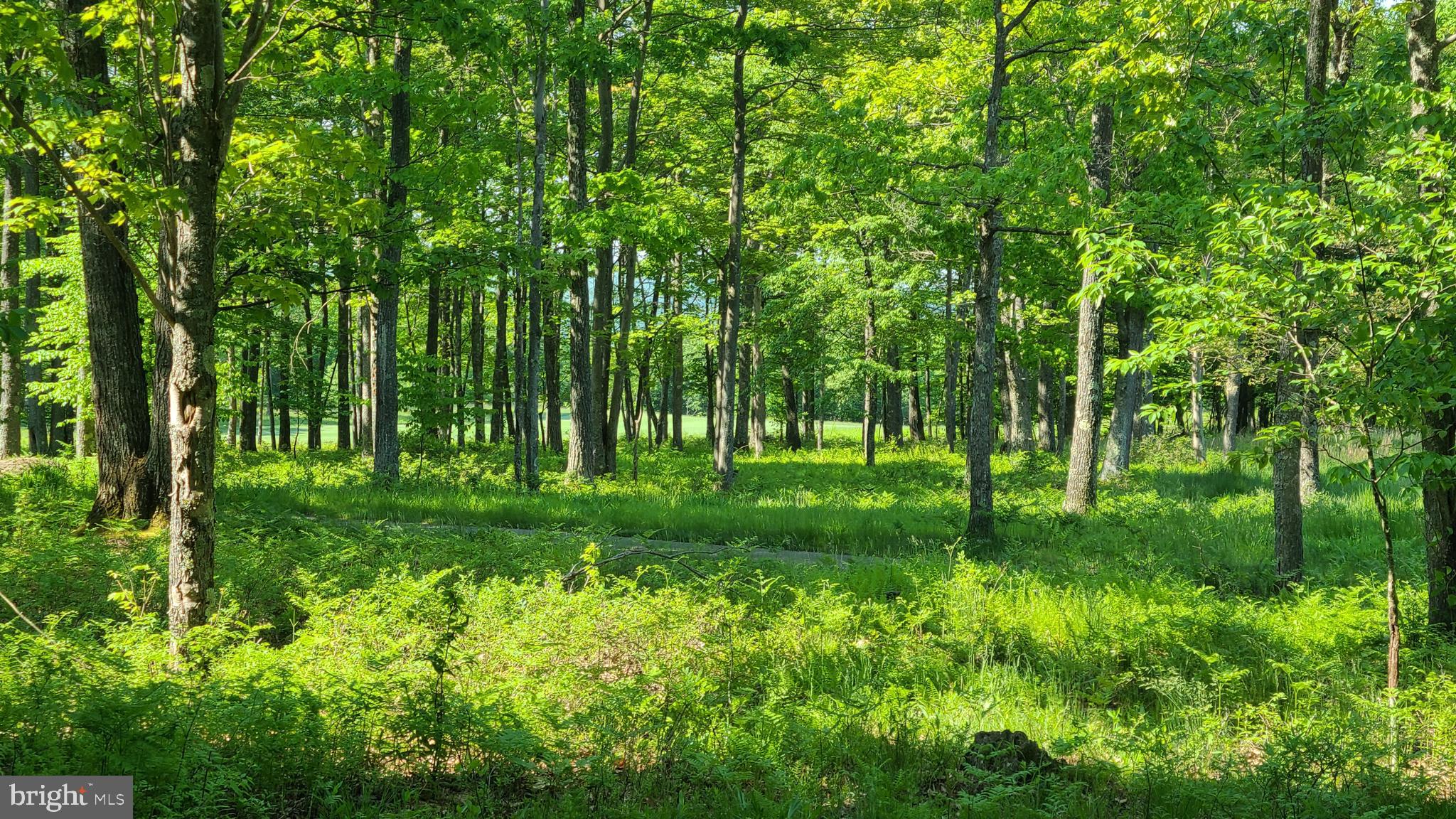 SANDY SHORES HEIGHTS - Land